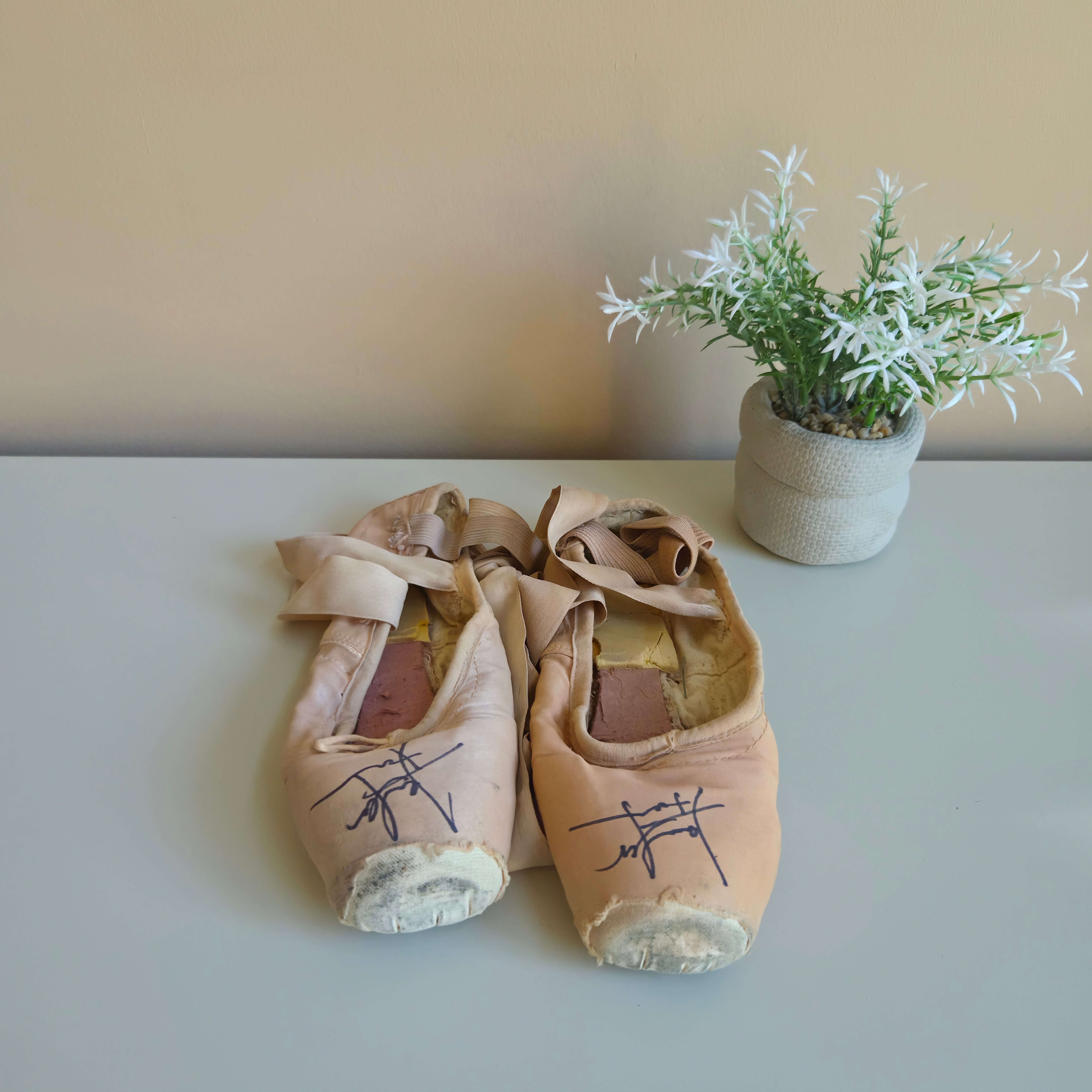 Jennifer Fournier - Signed Ballet Shoes & Poster - Pre-Loved! 🩰