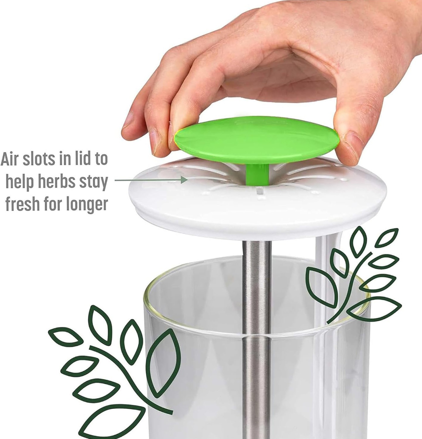 Glass Fresh Herb Keeper - photo 5