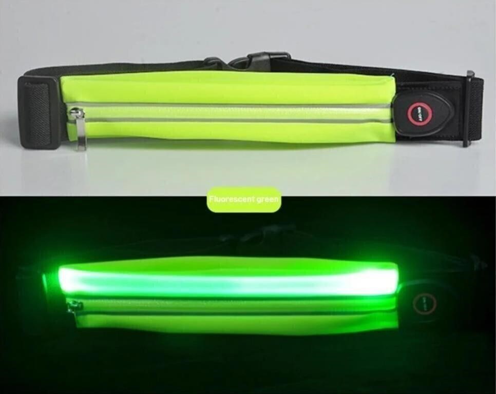Rechargable LED reflective belt with storage