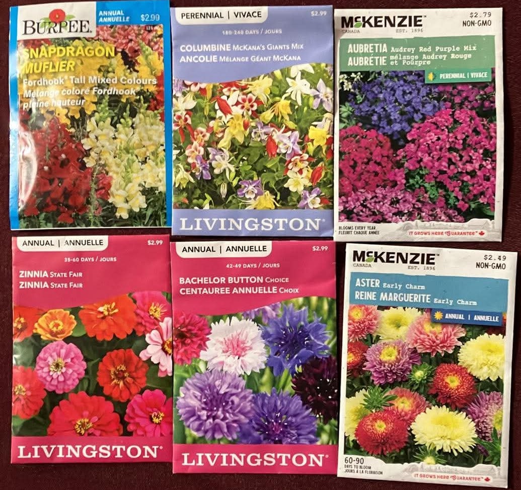 Flower Seeds Snapdragon Columbine Aubretia Zinnia