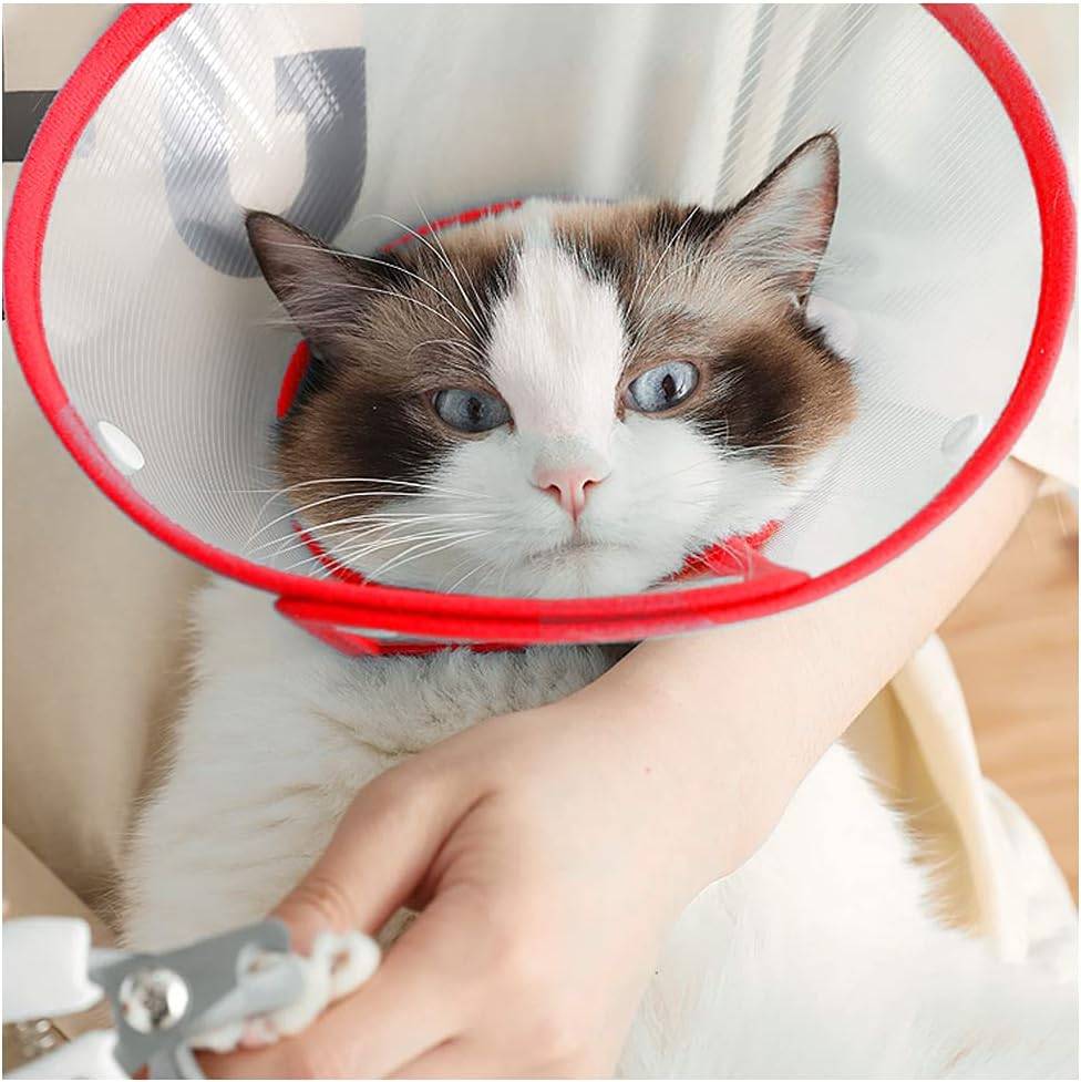 Andiker Adjustable Pet Recovery Cone – SMALL – Dog & Cat - photo 4