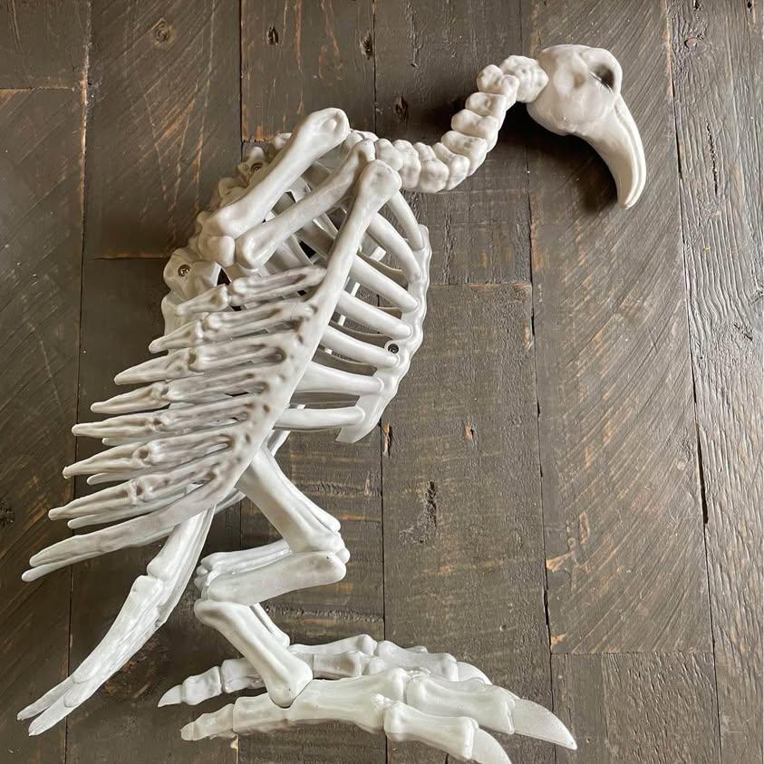 NEW - skeleton vulture with moving neck - Halloween