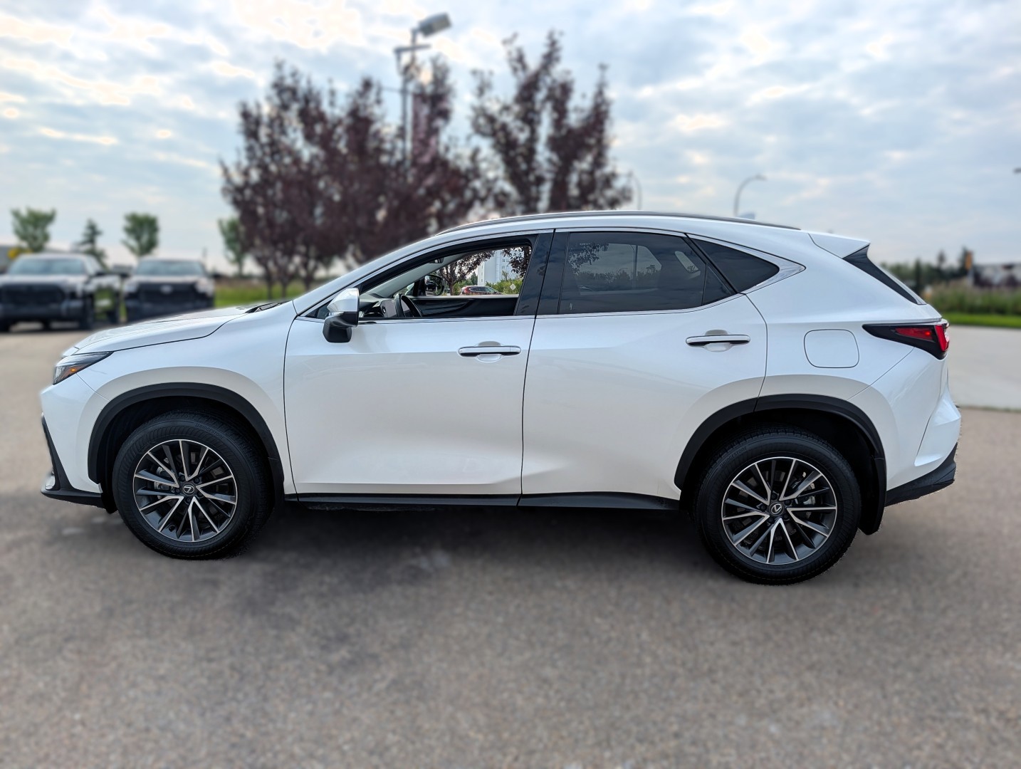 2024 Lexus NX 450h+ - photo 2