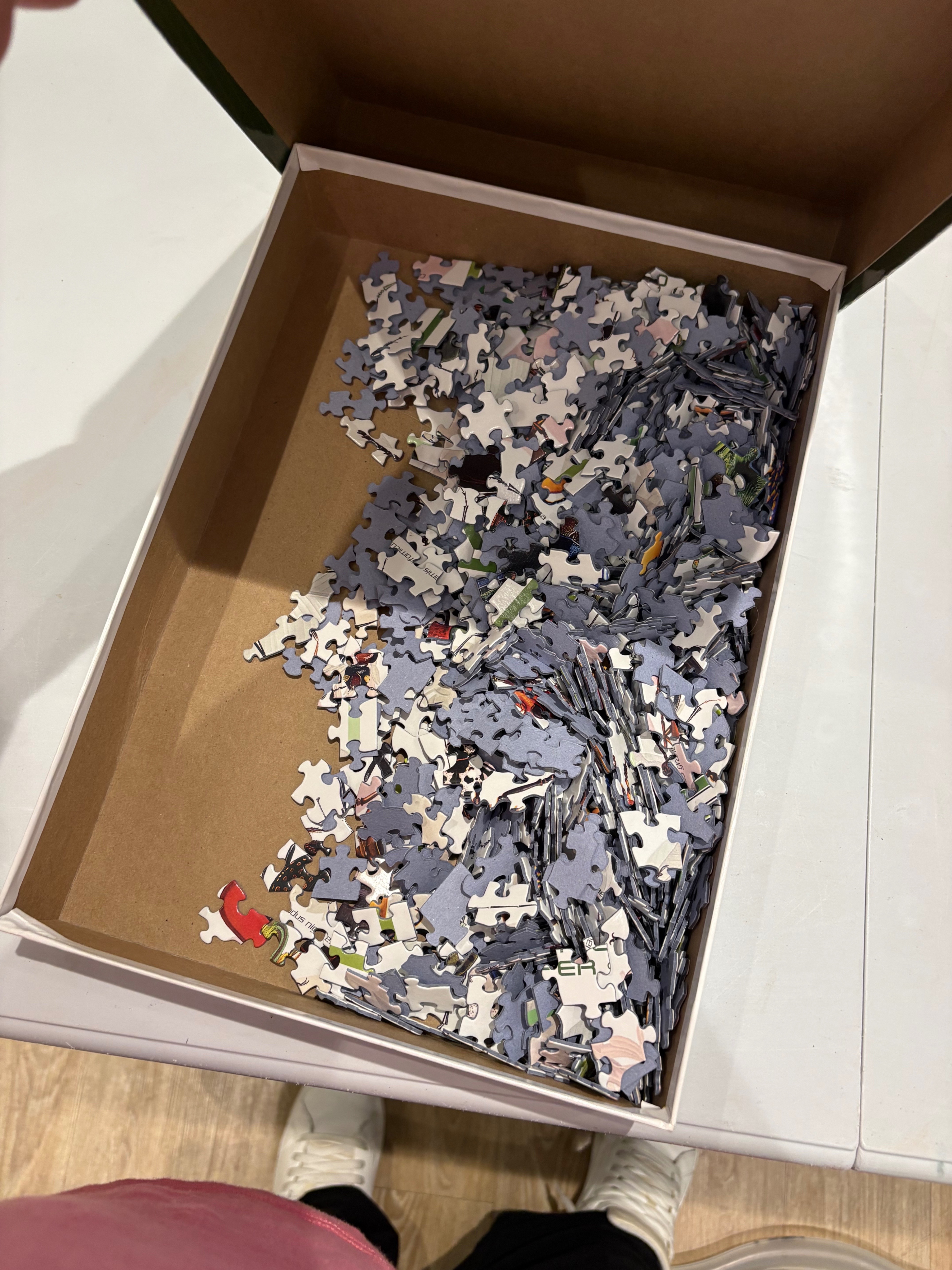 EuroGraphics Beetles 1,000-Piece Jigsaw Puzzle – Insect Chart - photo 2