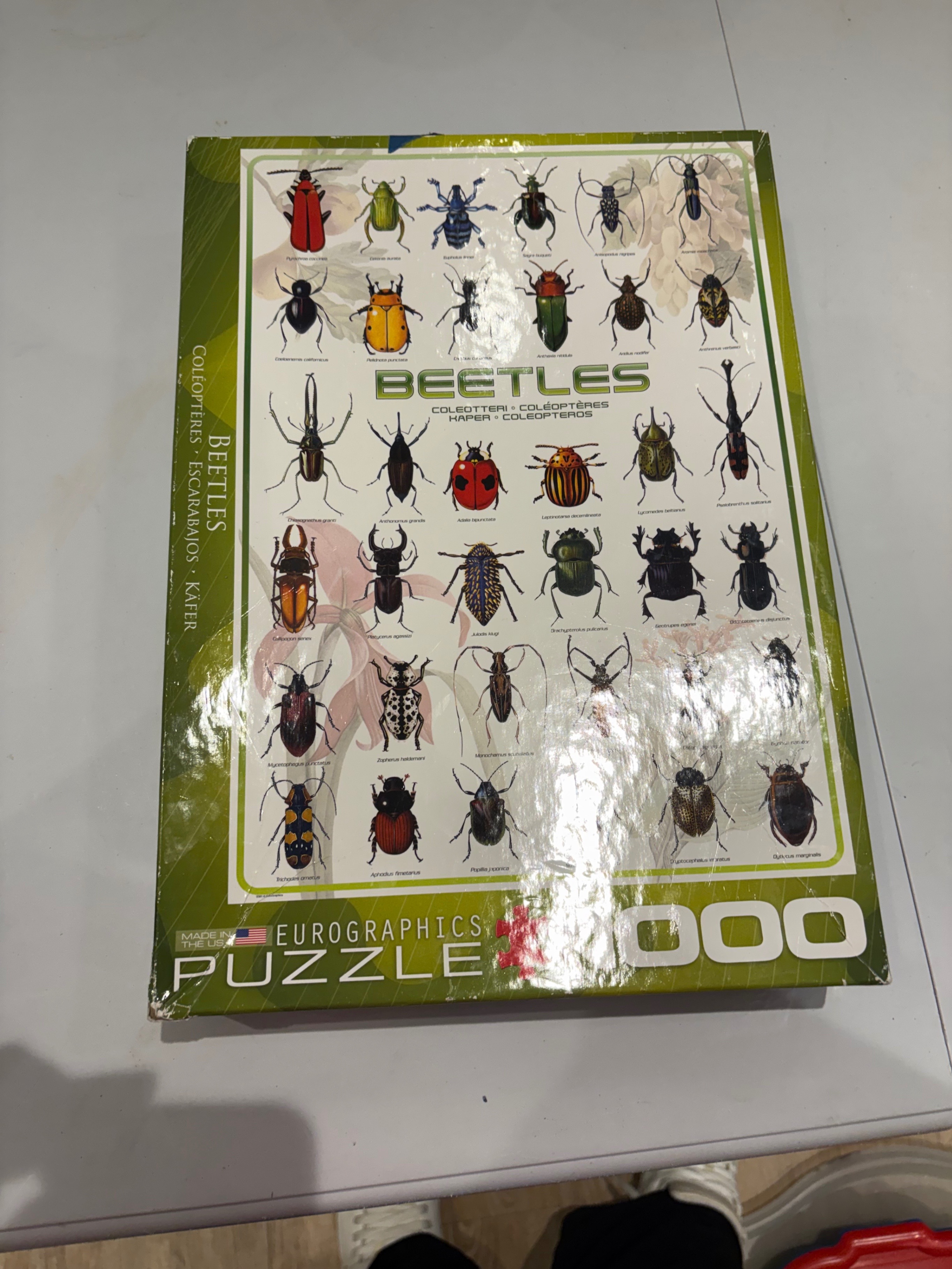 EuroGraphics Beetles 1,000-Piece Jigsaw Puzzle – Insect Chart