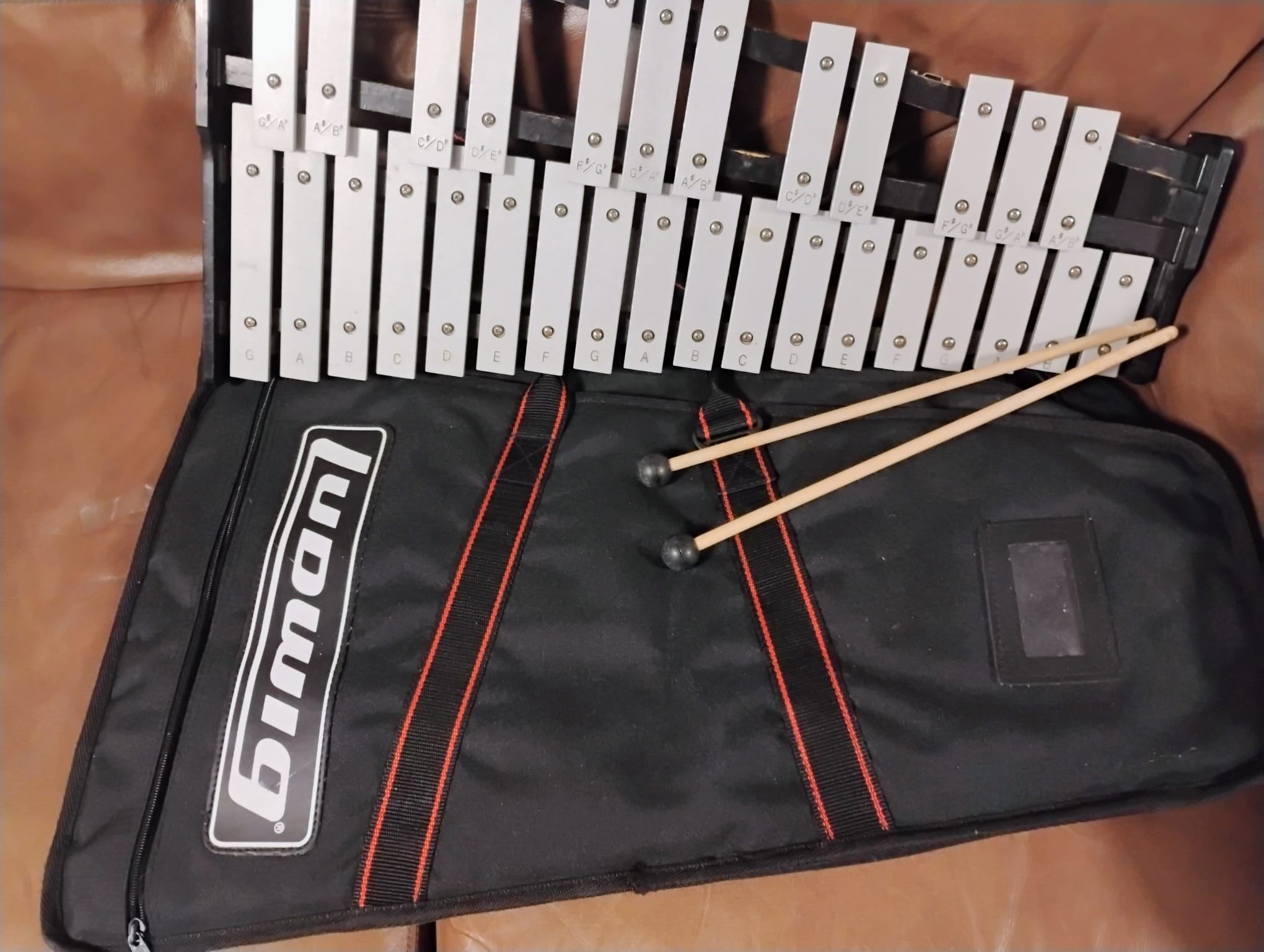 Ludwig 32-Key Xylophone with Case & Stand Accessories - photo 3