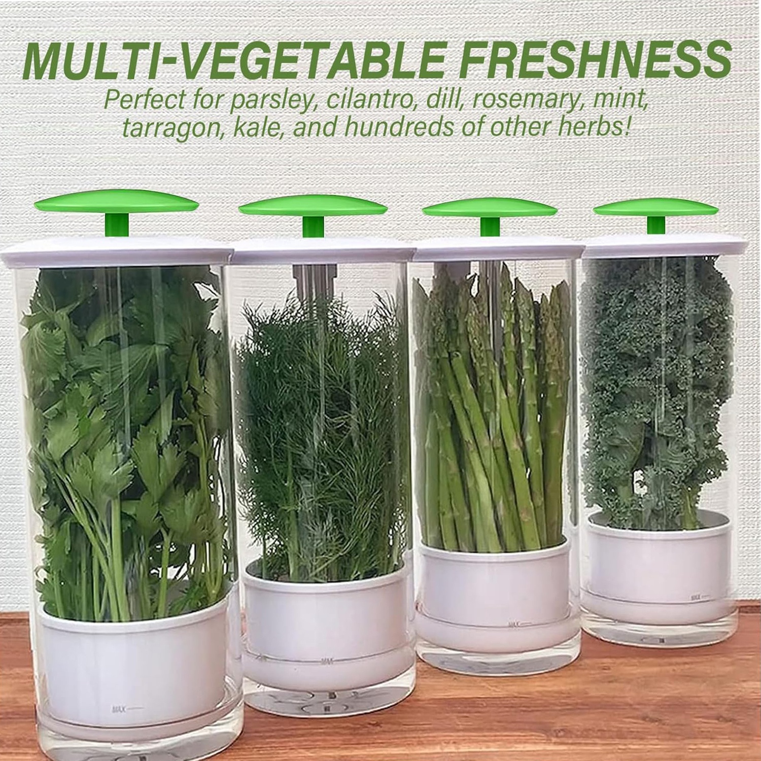 Glass Fresh Herb Keeper - photo 3