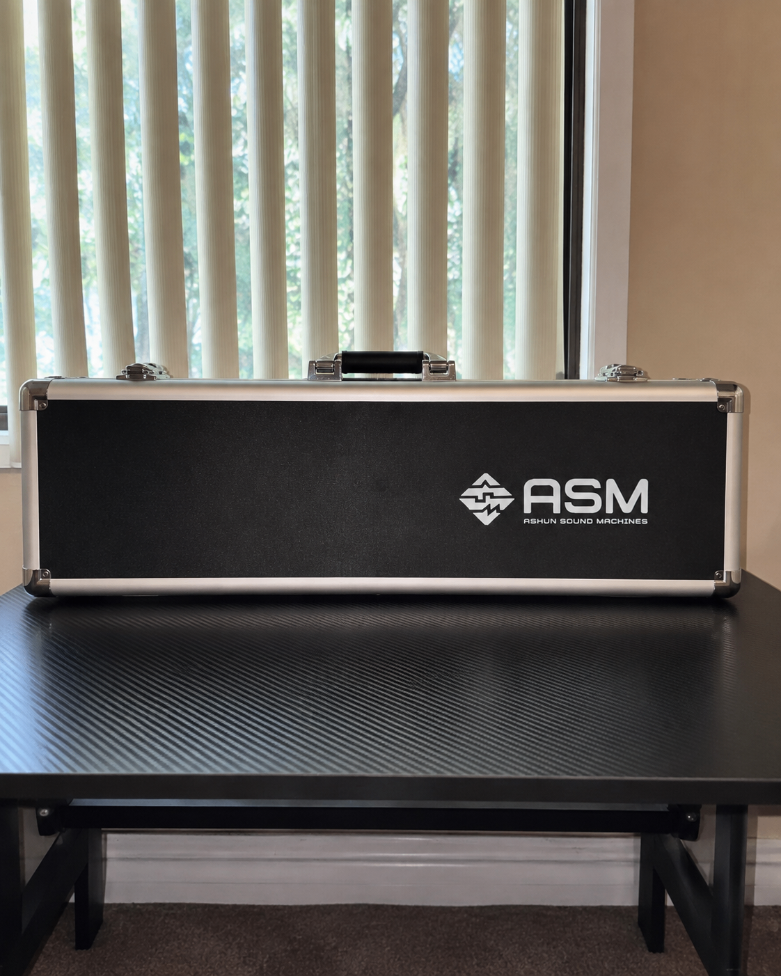 ASM DSWA Diosynth Electronic Wind Instrument – COMPLETE PACKAGE - photo 2
