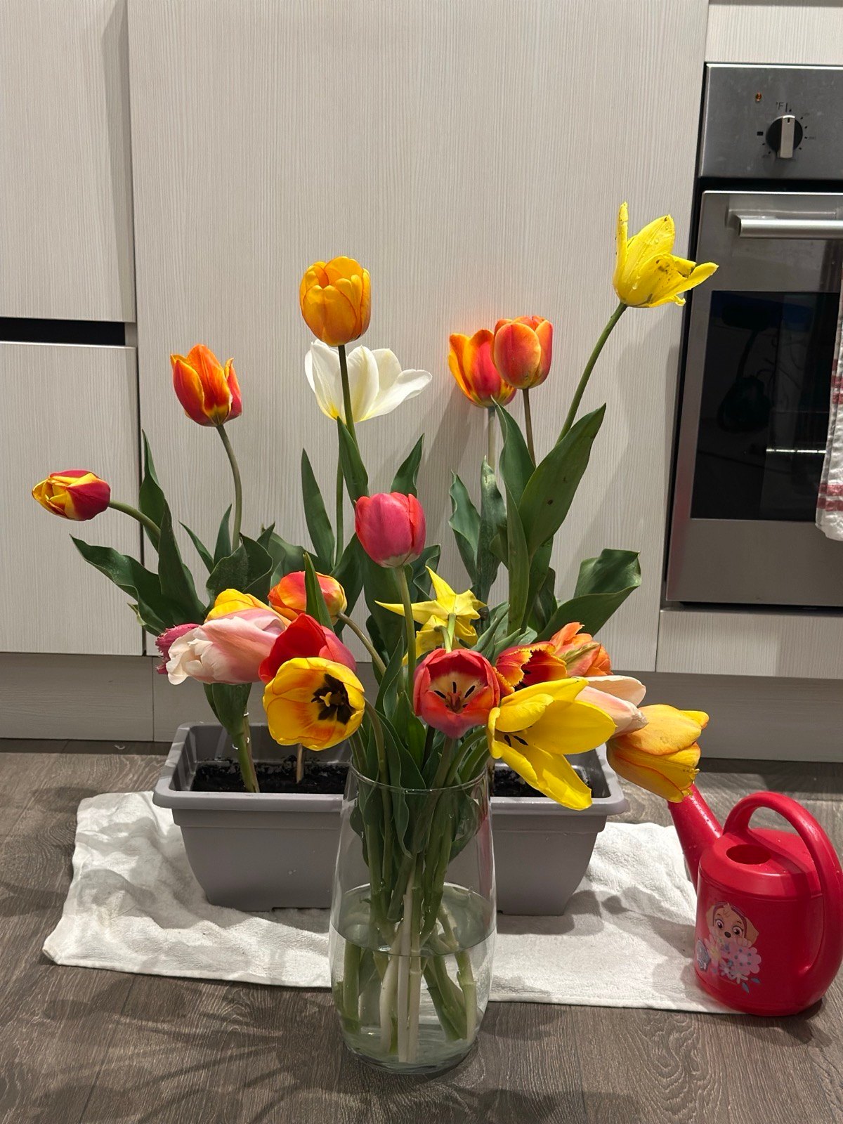 🏡 Moving Out Sale – Florence Clear Glass Vase (Made in Poland) 🌷