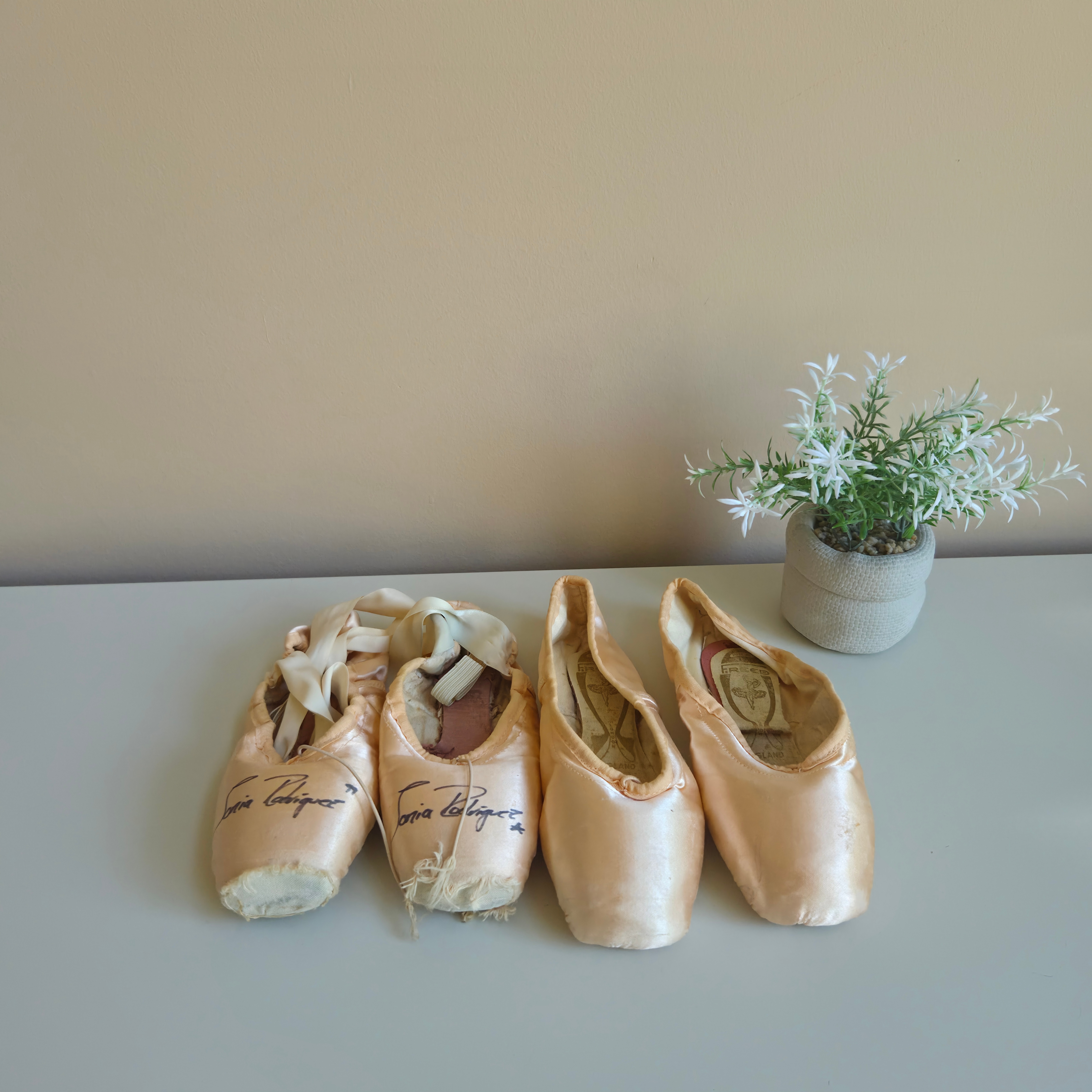Sonia Rodriguez -  Signed Ballet Shoes & Poster - Pre-Loved! 🩰