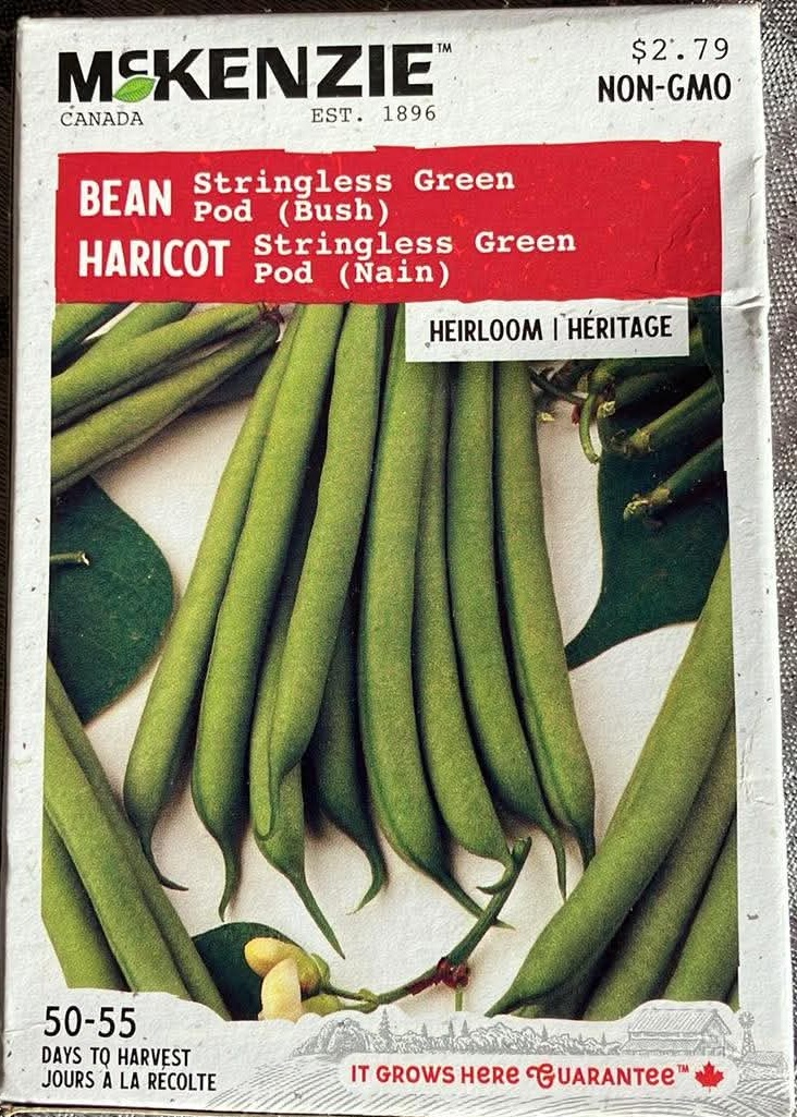 Bean Stringless Green Pod (Bush) Seeds