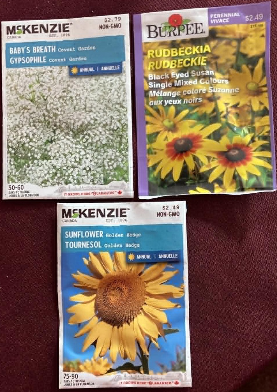 Flower Seeds Baby's Breath Rudbeckia Sunflower