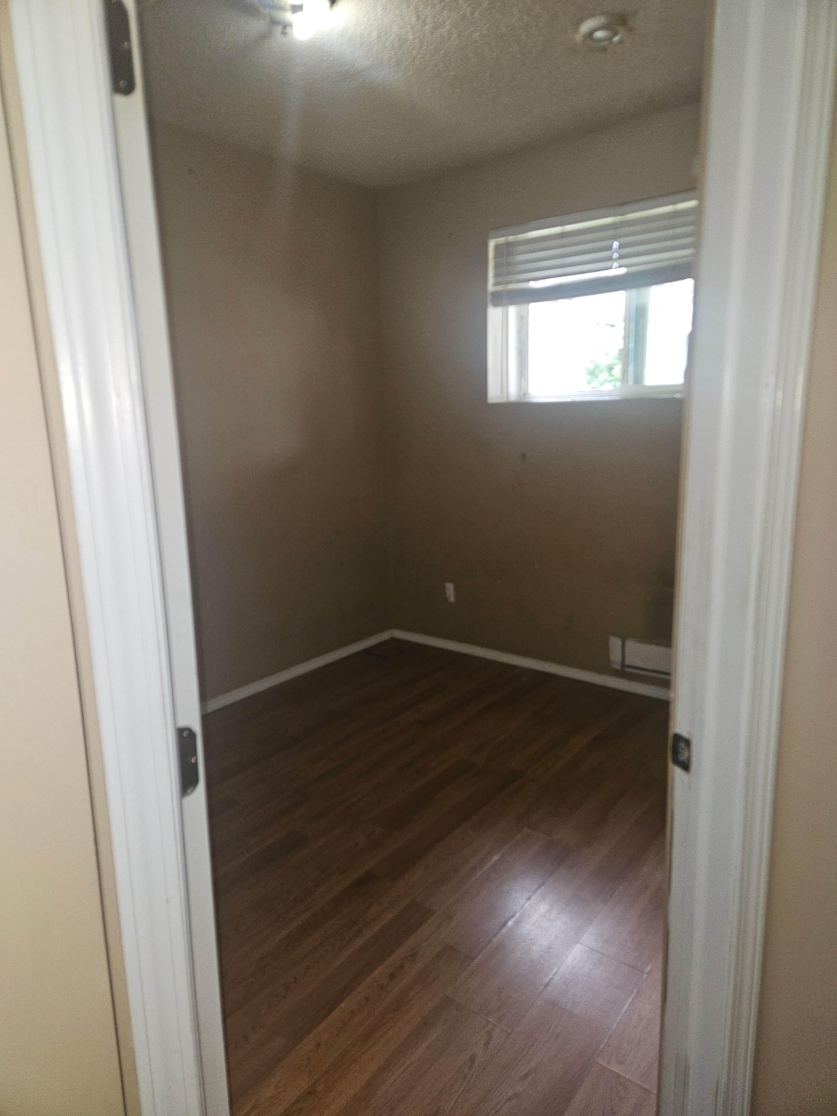 QUIET LARGE ROOM FOR RENT @113 AVE , 96ST ---AVAILABLE ASAP !!