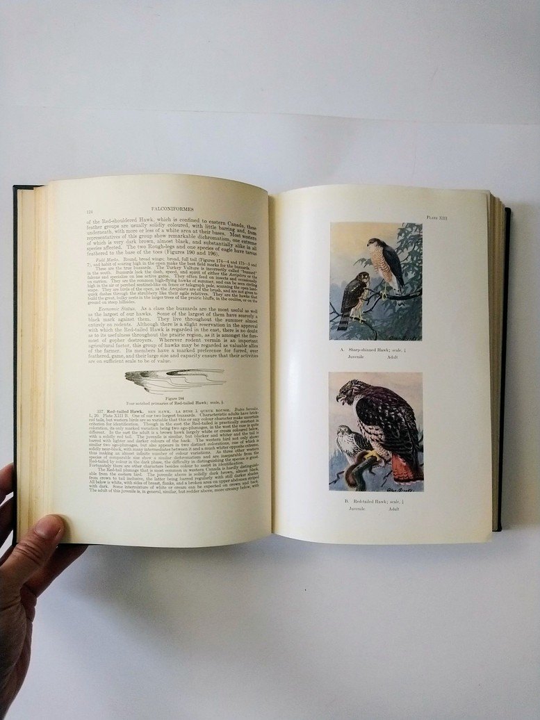 Bird Lover books! - photo 3