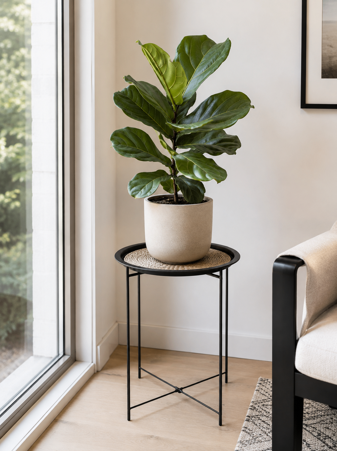 Folding Black Metal Round Tray-Top Side Table with Rattan Insert - photo 3