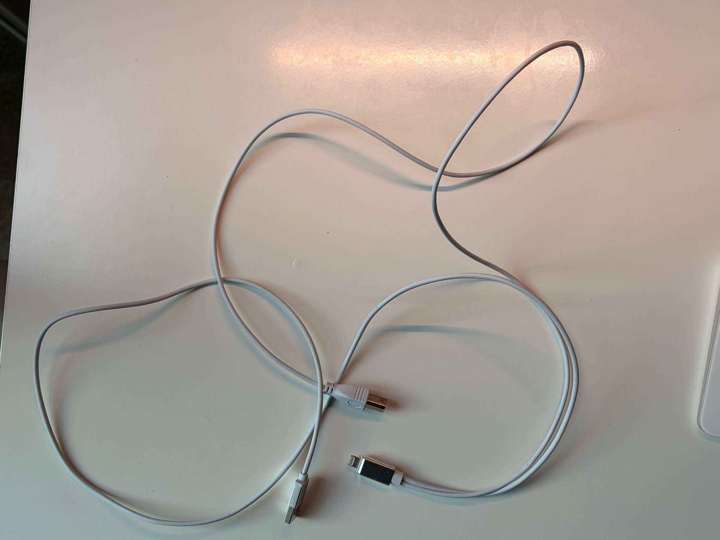 USB Cable Lot — Lightning Cable + USB-A to USB-B Cable