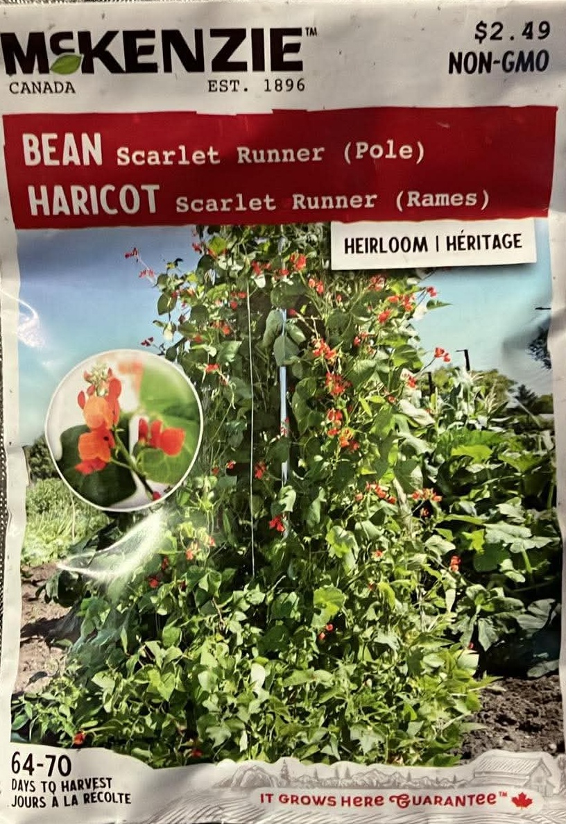 Bean Scarlet Runner Seeds (Pole)