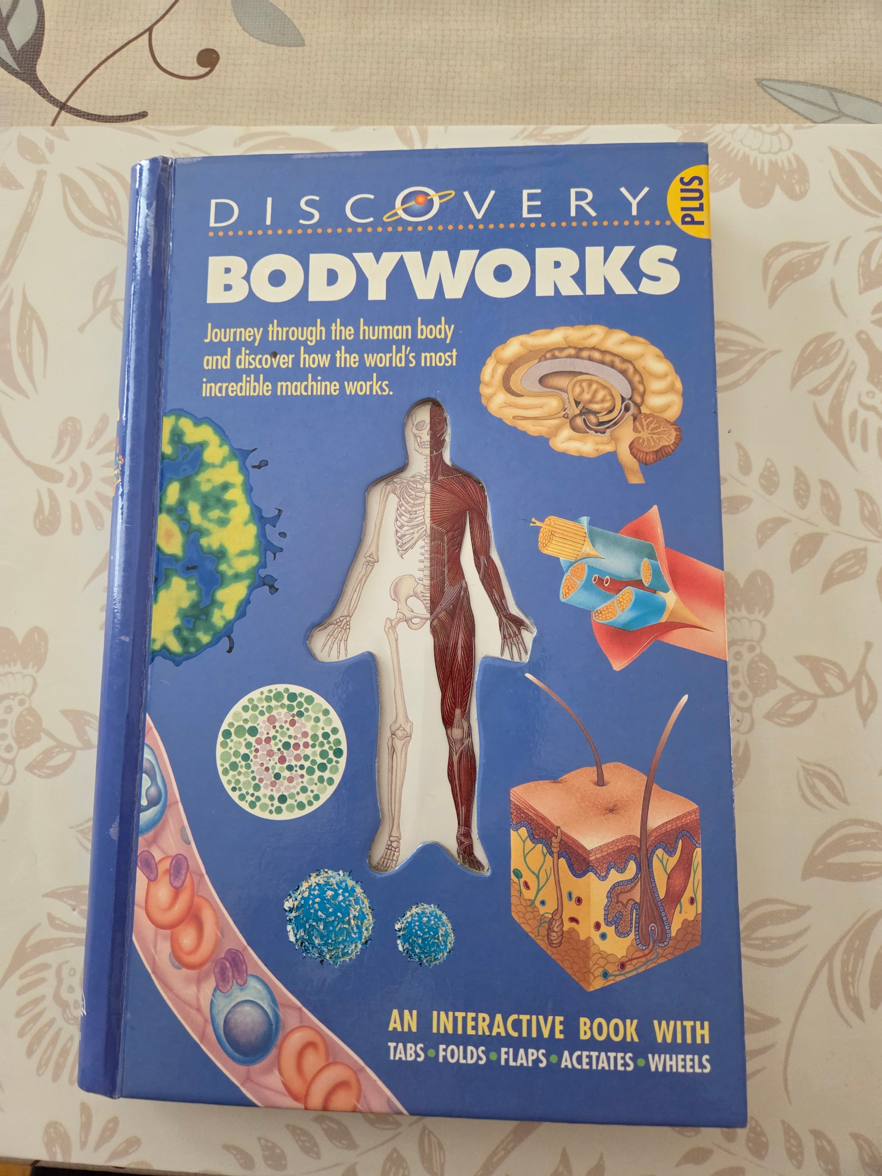 Book - Discovery Plus Bodyworks