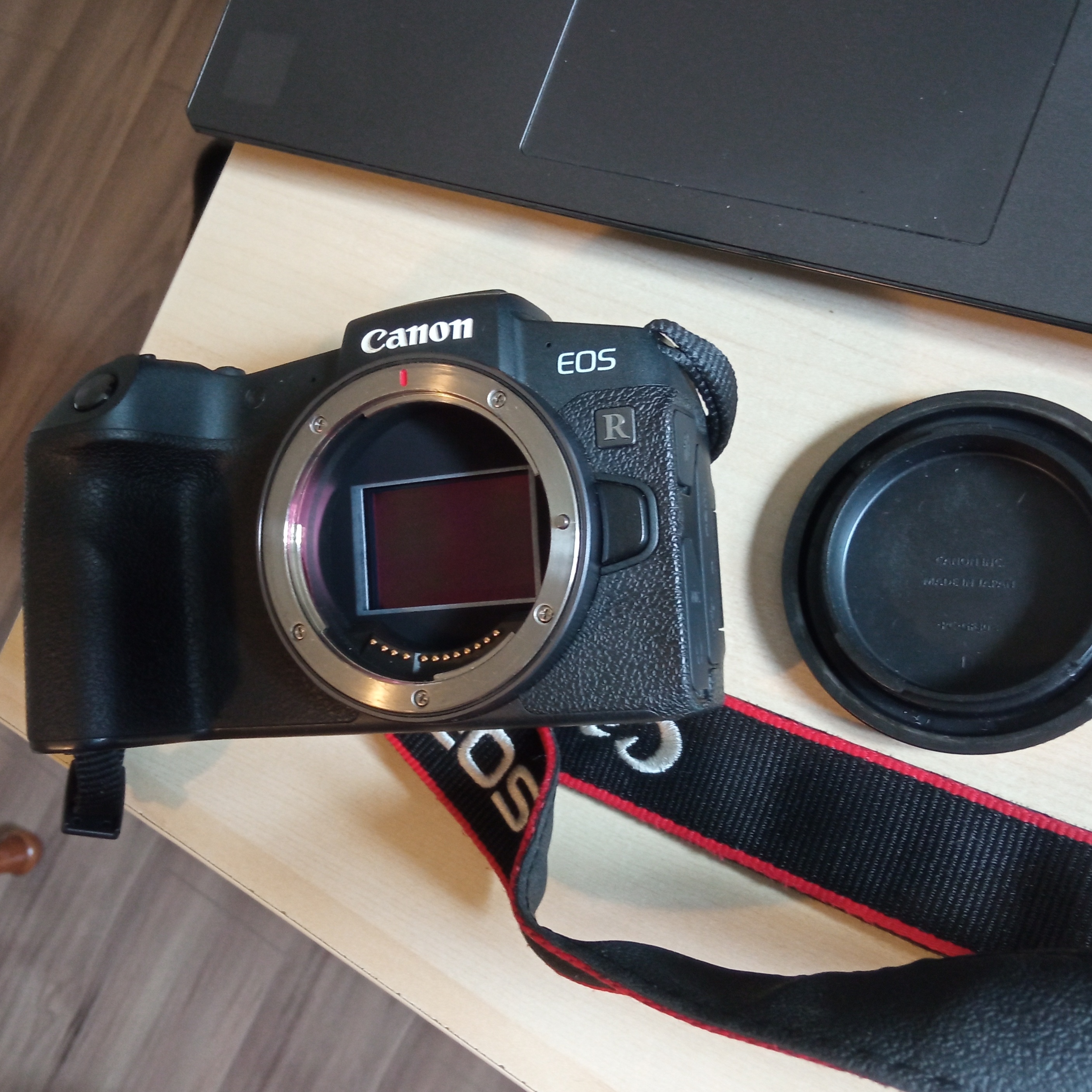 Canon EOS RP + Canon RF 85mm f/2 Macro IS STM - photo 5