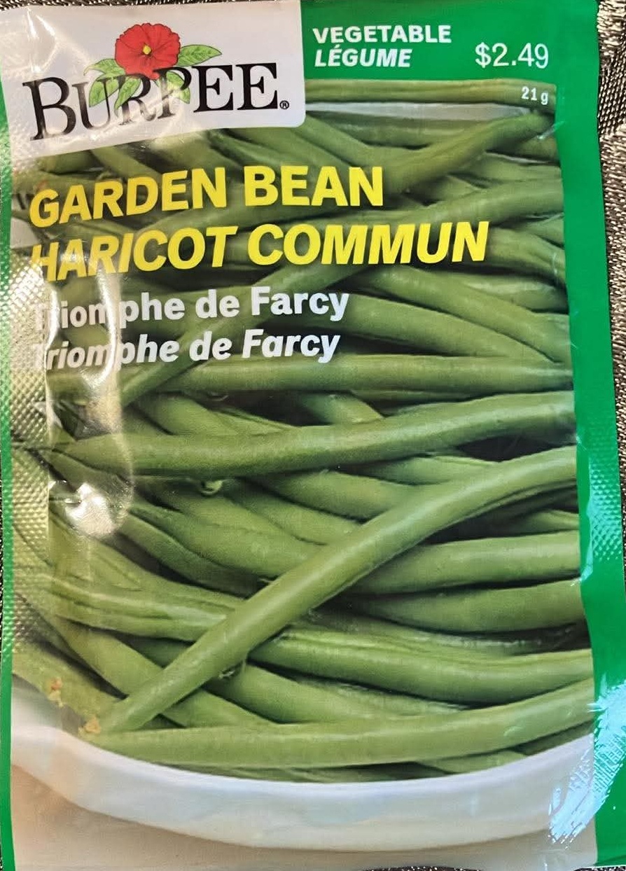 Garden Bean Seeds