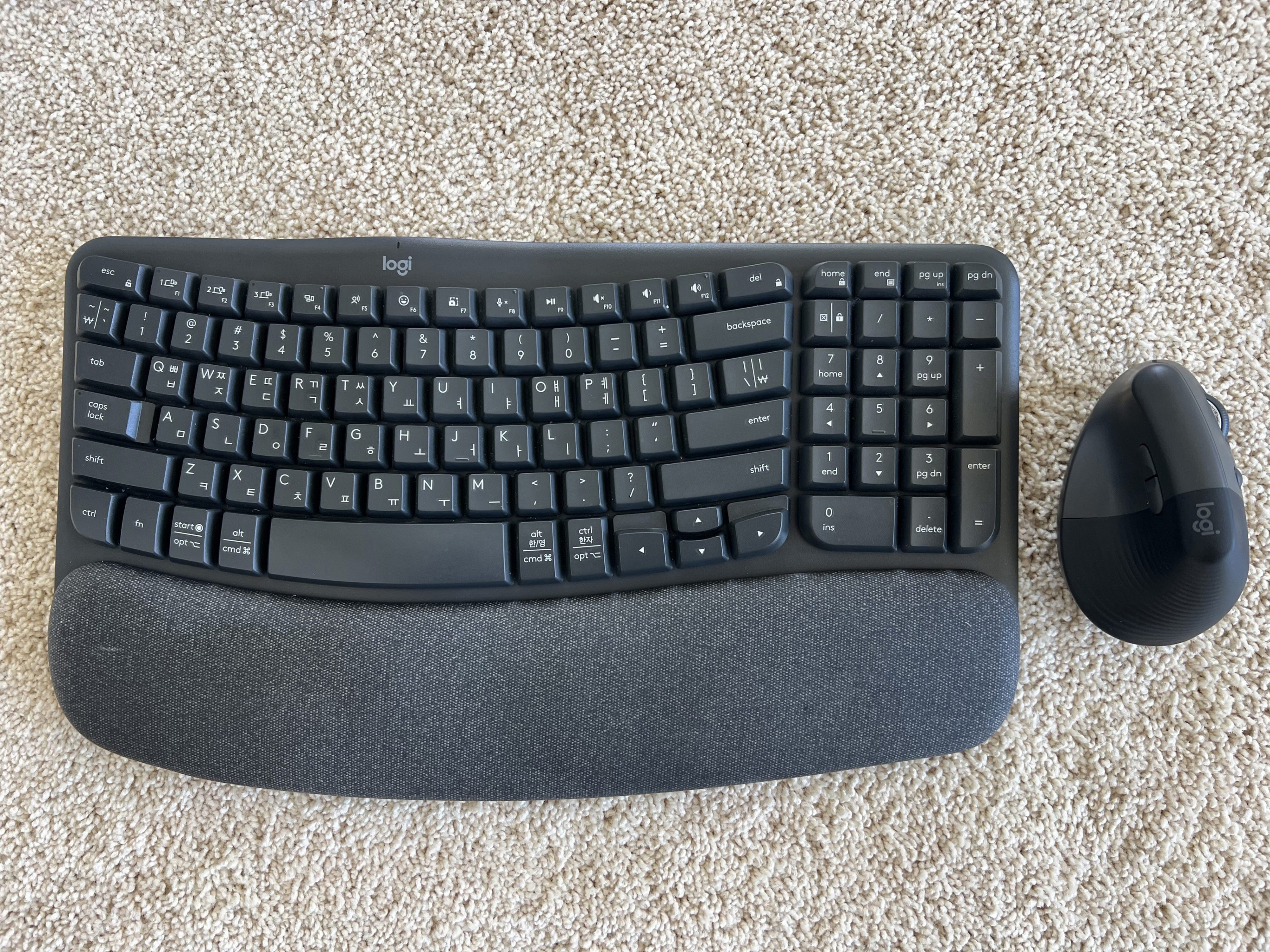 Ergonomic Keyboard & Mouse Set (Logitech Wave Keys & LIFT Combo)