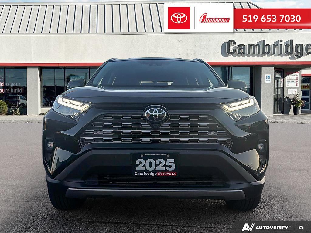 2025 Toyota RAV4 Limited 4dr All-Wheel Drive - photo 2