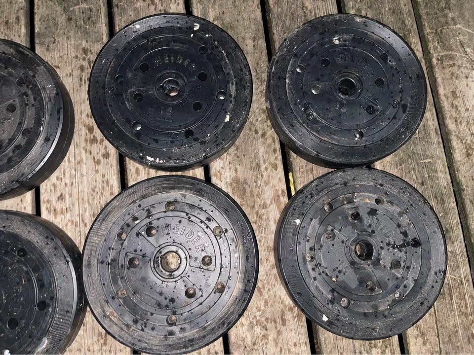 15lb Weight Plates - photo 3