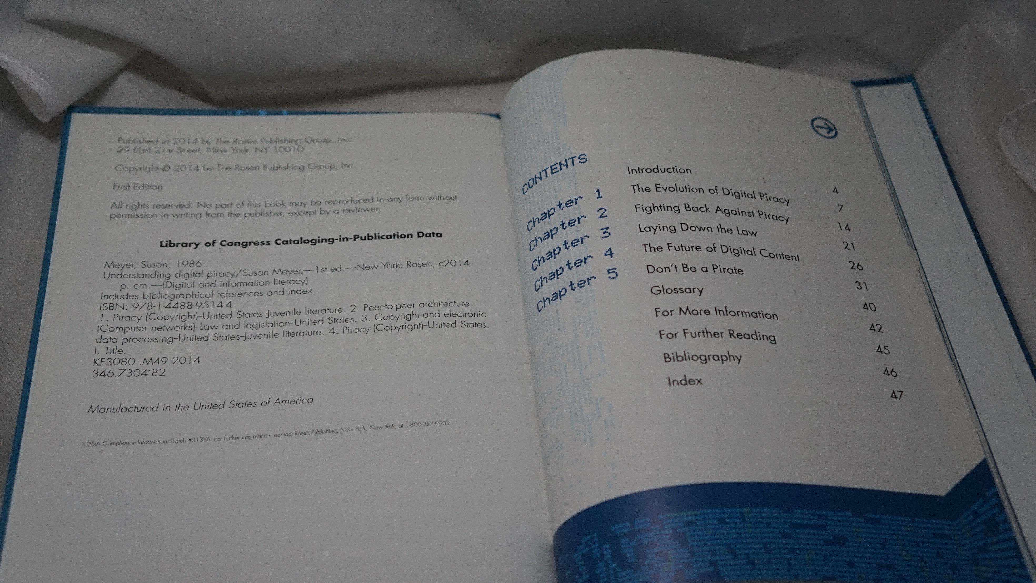 Understanding Digital Piracy Susan Meyer Rosen Central Hardcover - photo 3