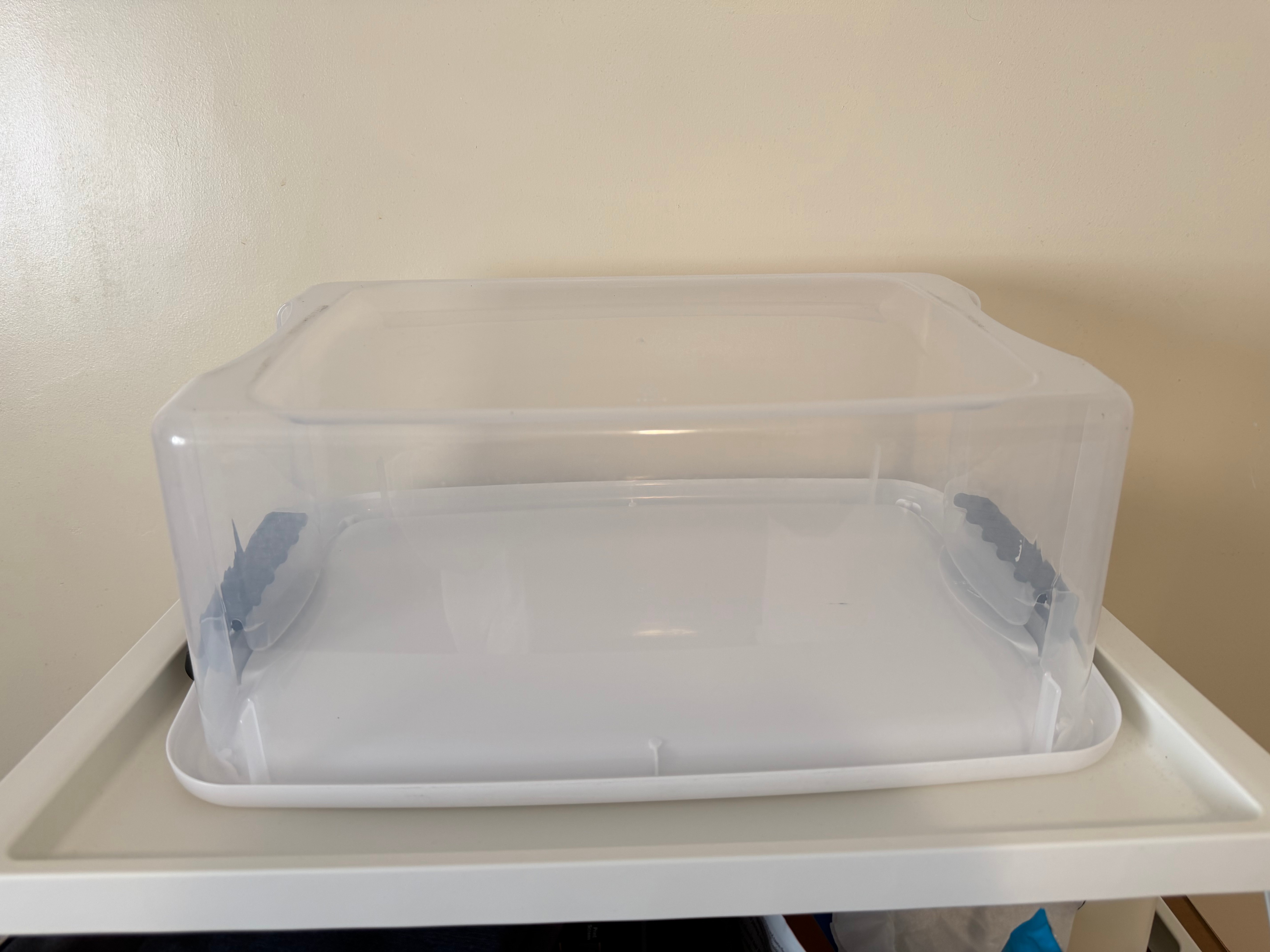 Sterilite Clear Plastic Storage Container with Lid - photo 4
