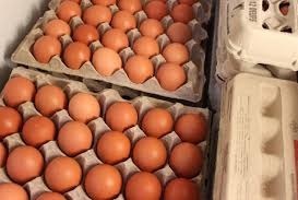 Organic Large Brown eggs from local farm. - photo 4