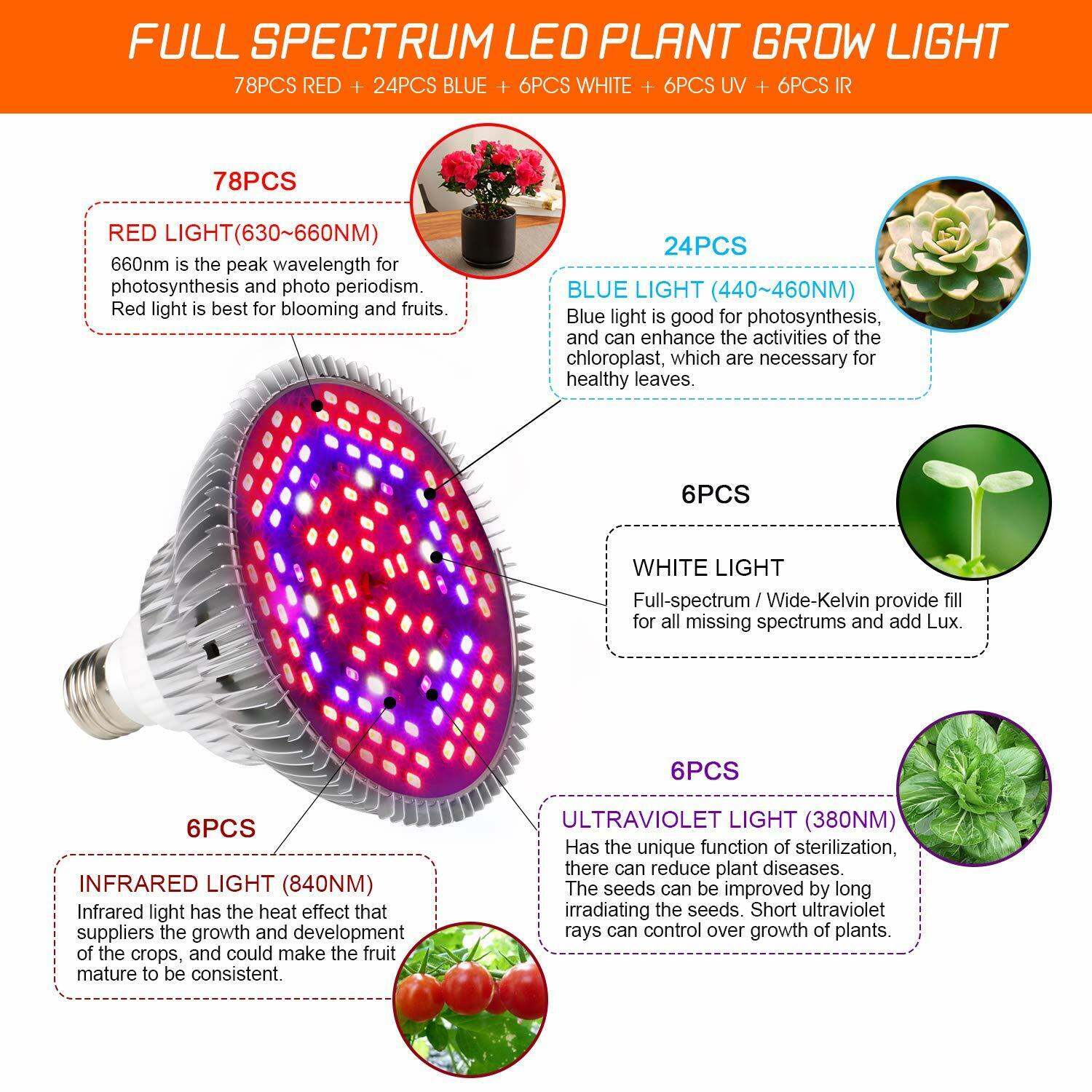 INEWTECK LED Full Spectrum Grow Light Bulbs $30.00 for both ! - photo 4