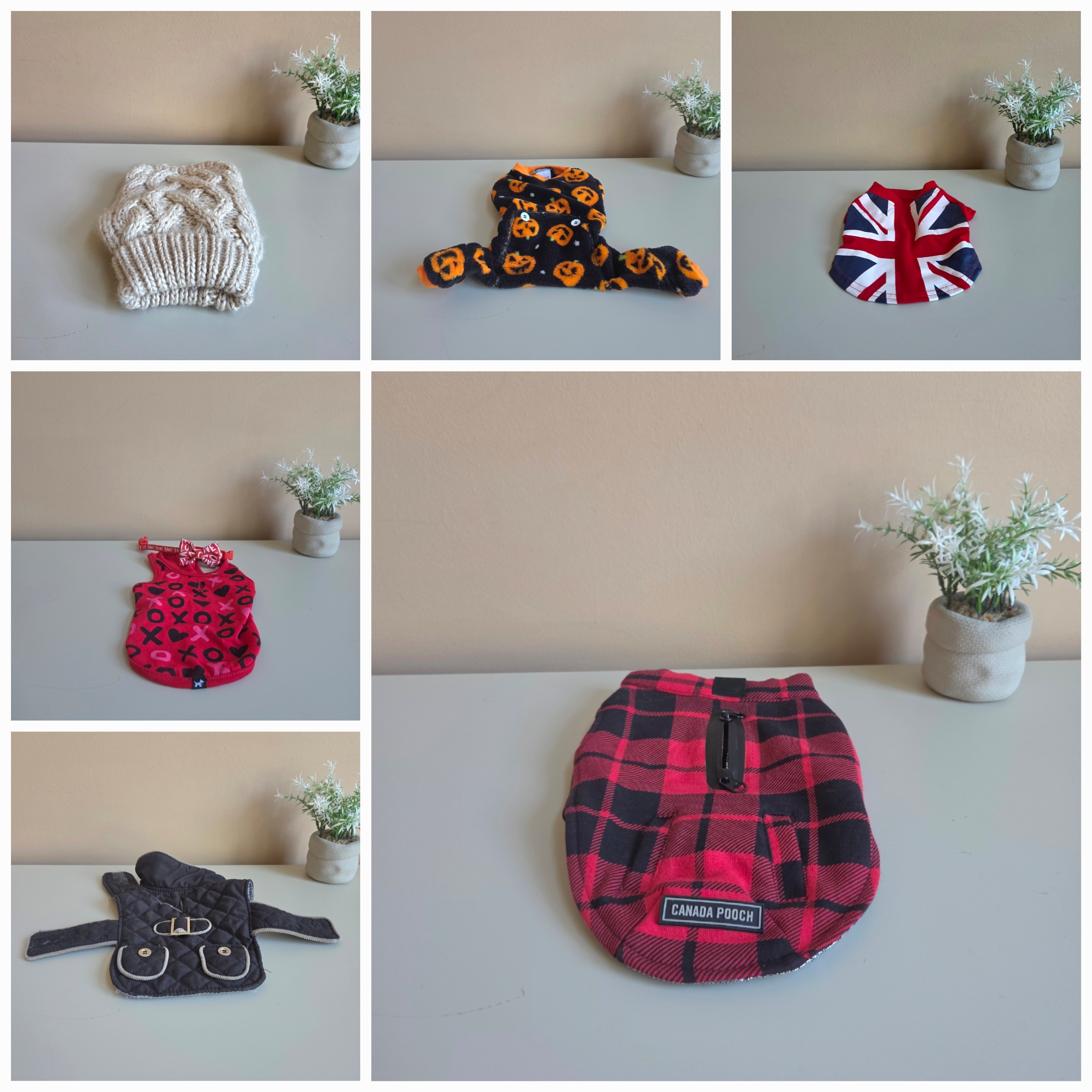 Dog Clothes Bundle - Extra-Small Dog Clothes - Pre-Loved! 🐶