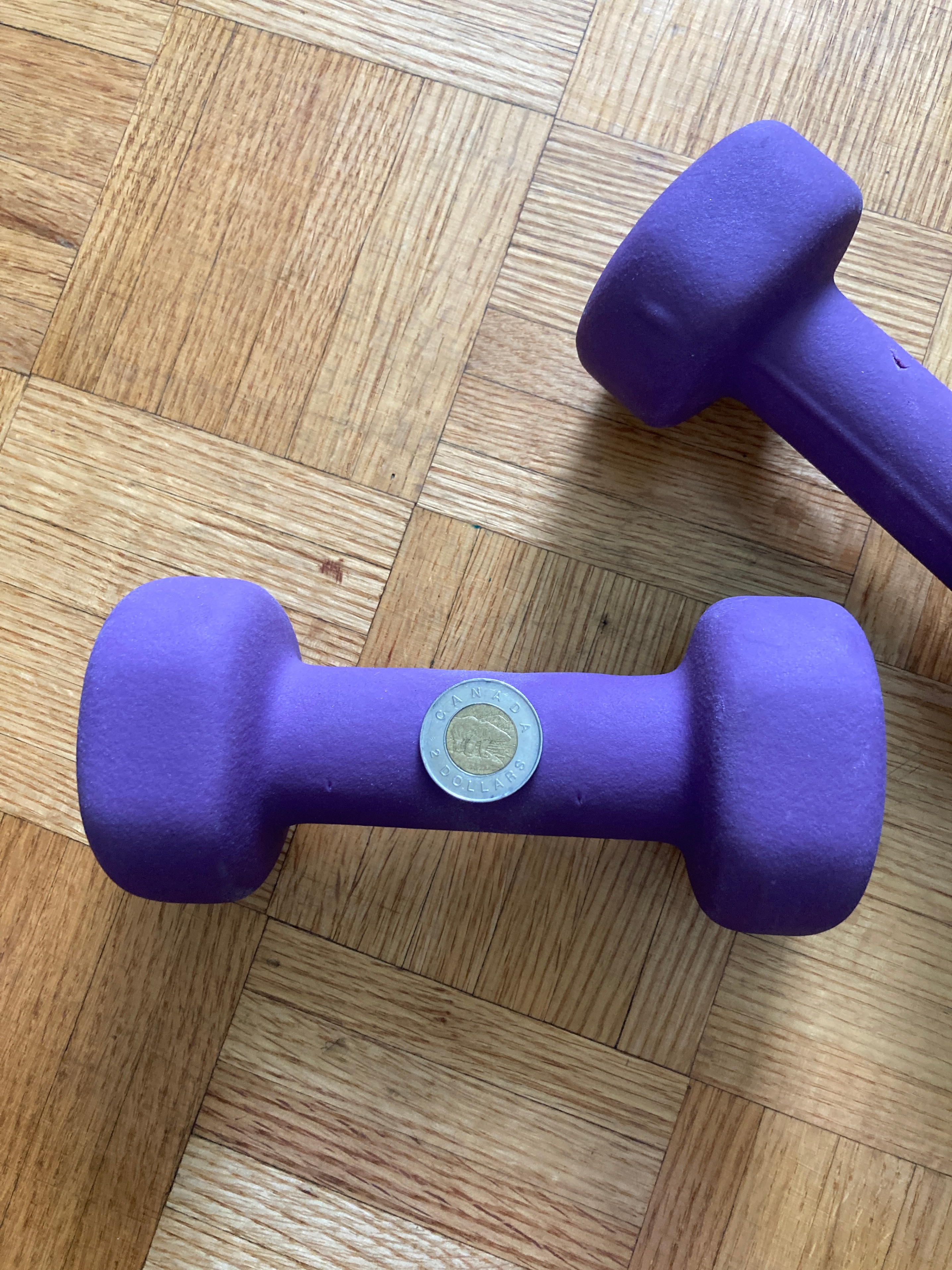 ProsourceFit Set of 2 Neoprene Dumbbell(5 LB/2KG) - photo 3