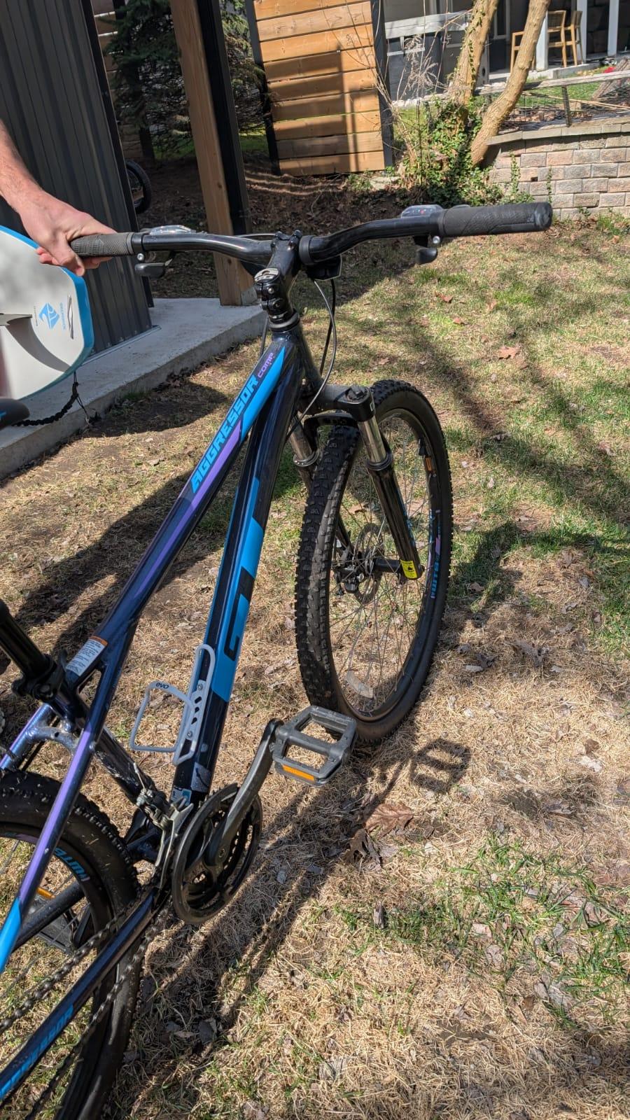 GT Aggressor Pro Mountain Bike - photo 4