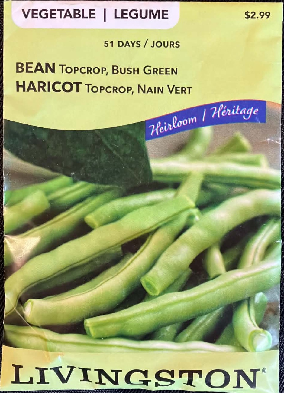Bean Topcrop Bush Green Seeds