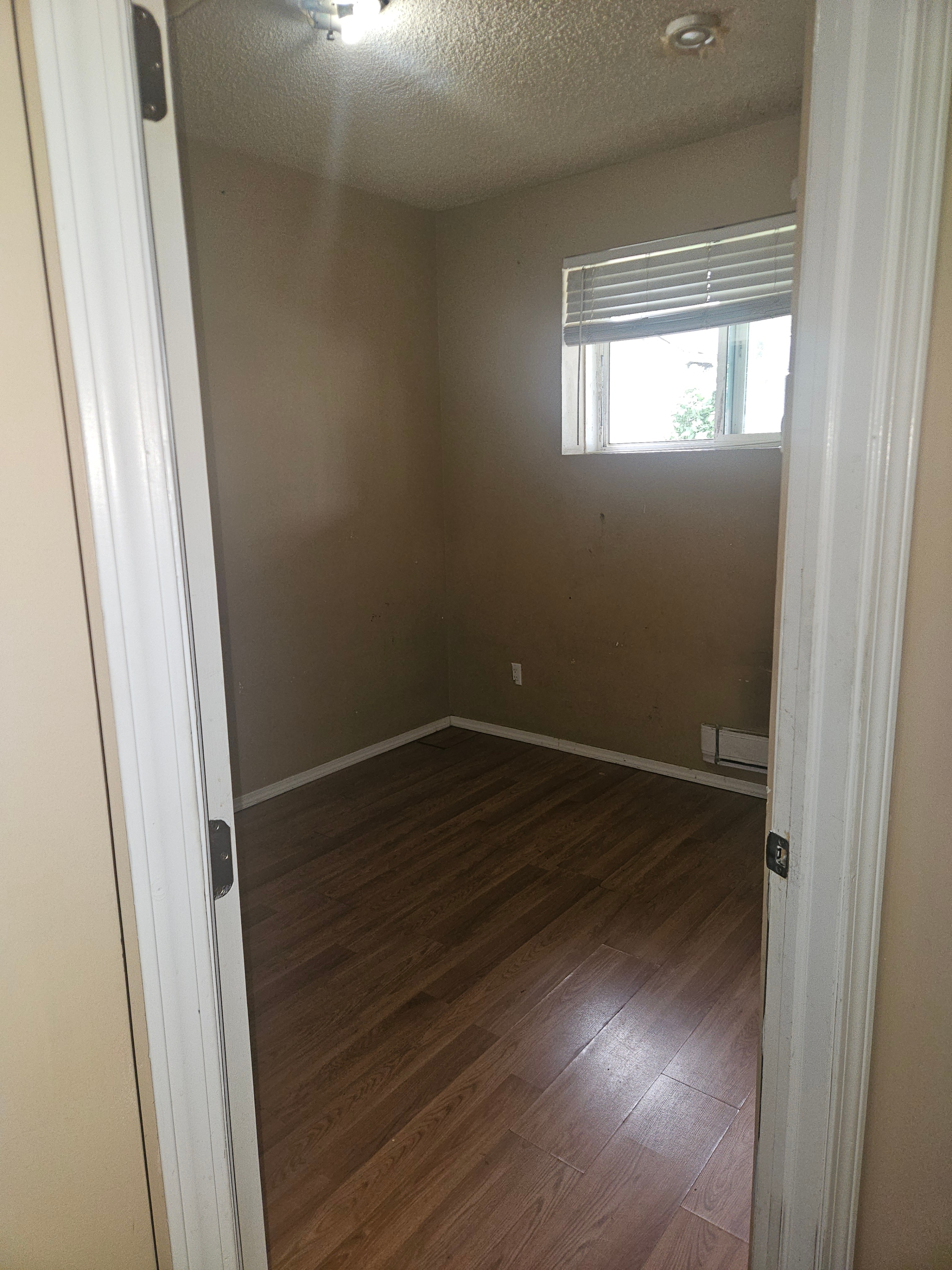 QUIET LARGE ROOM FOR RENT @113 AVE , 96ST ---AVAILABLE ASAP !!