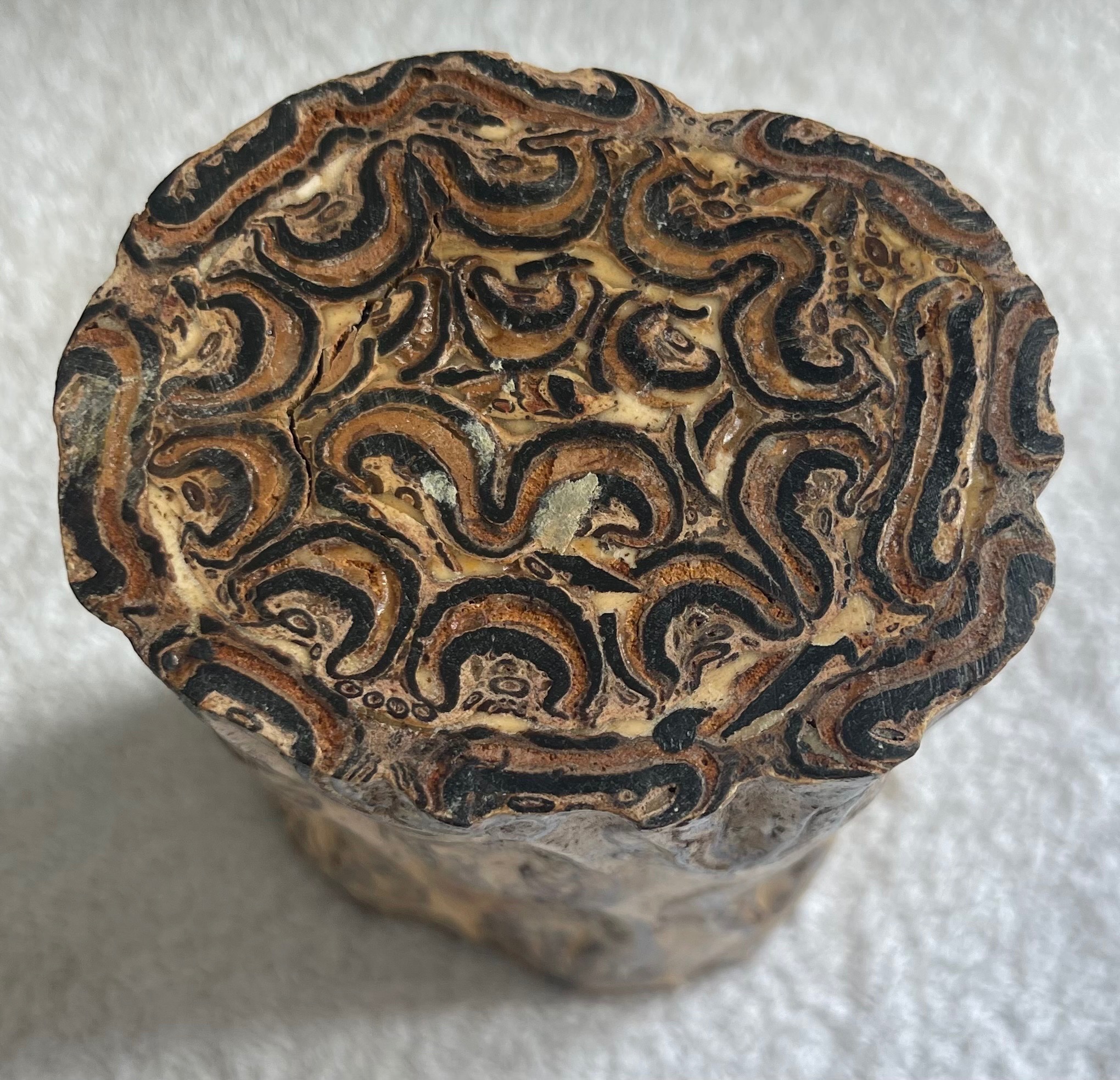 Vintage New Zealand Ponga Tree Fern Carved Wooden Vase 5" - photo 4