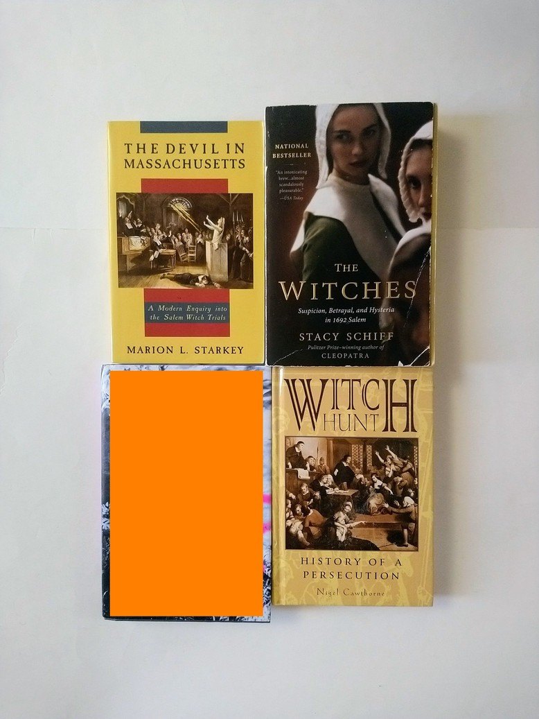 Witch Hunt History books!