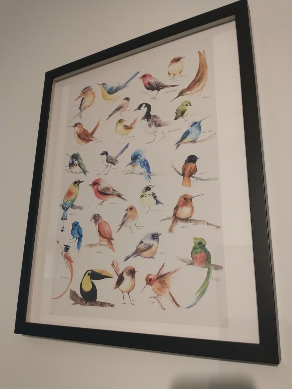 Unique birds print in frame - photo 4