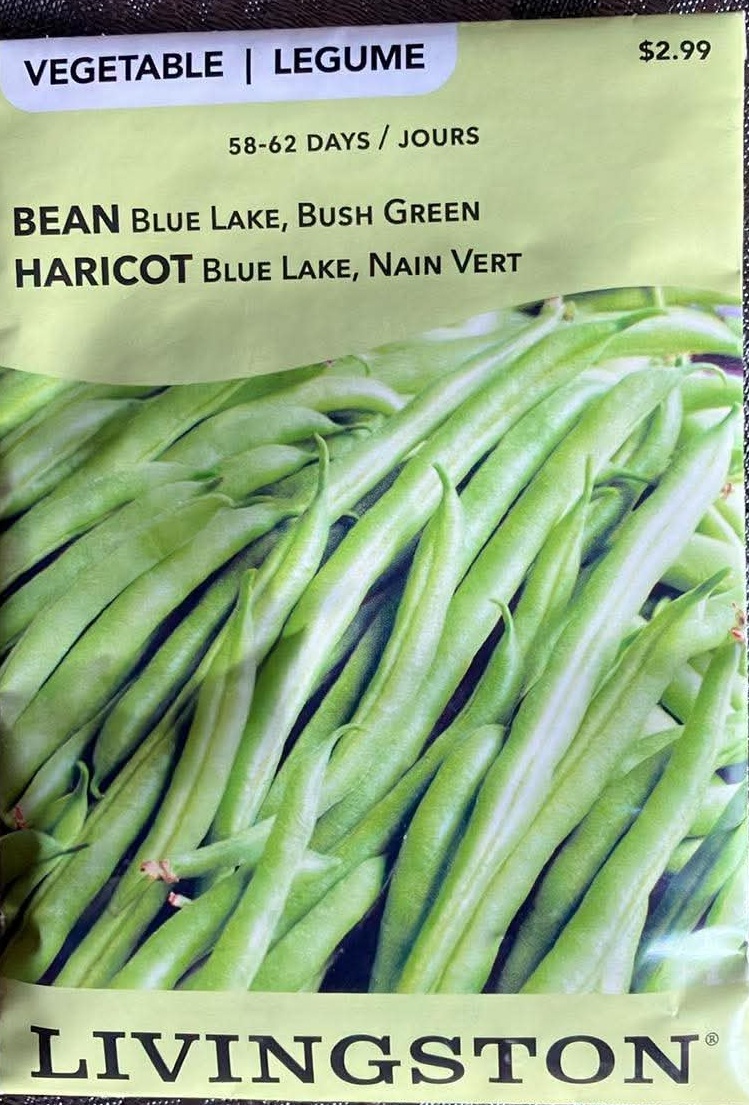 Bean Blue Lake Bush Green Seeds