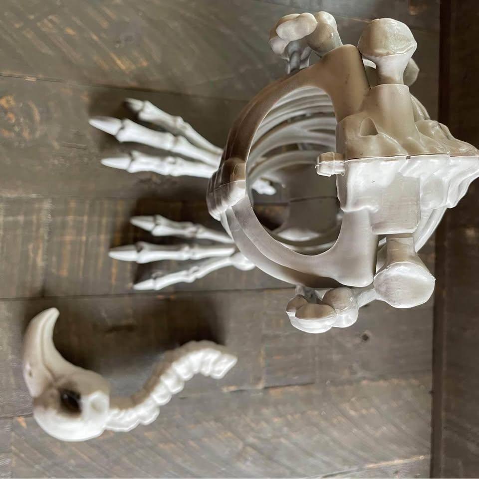NEW - skeleton vulture with moving neck - Halloween - photo 4