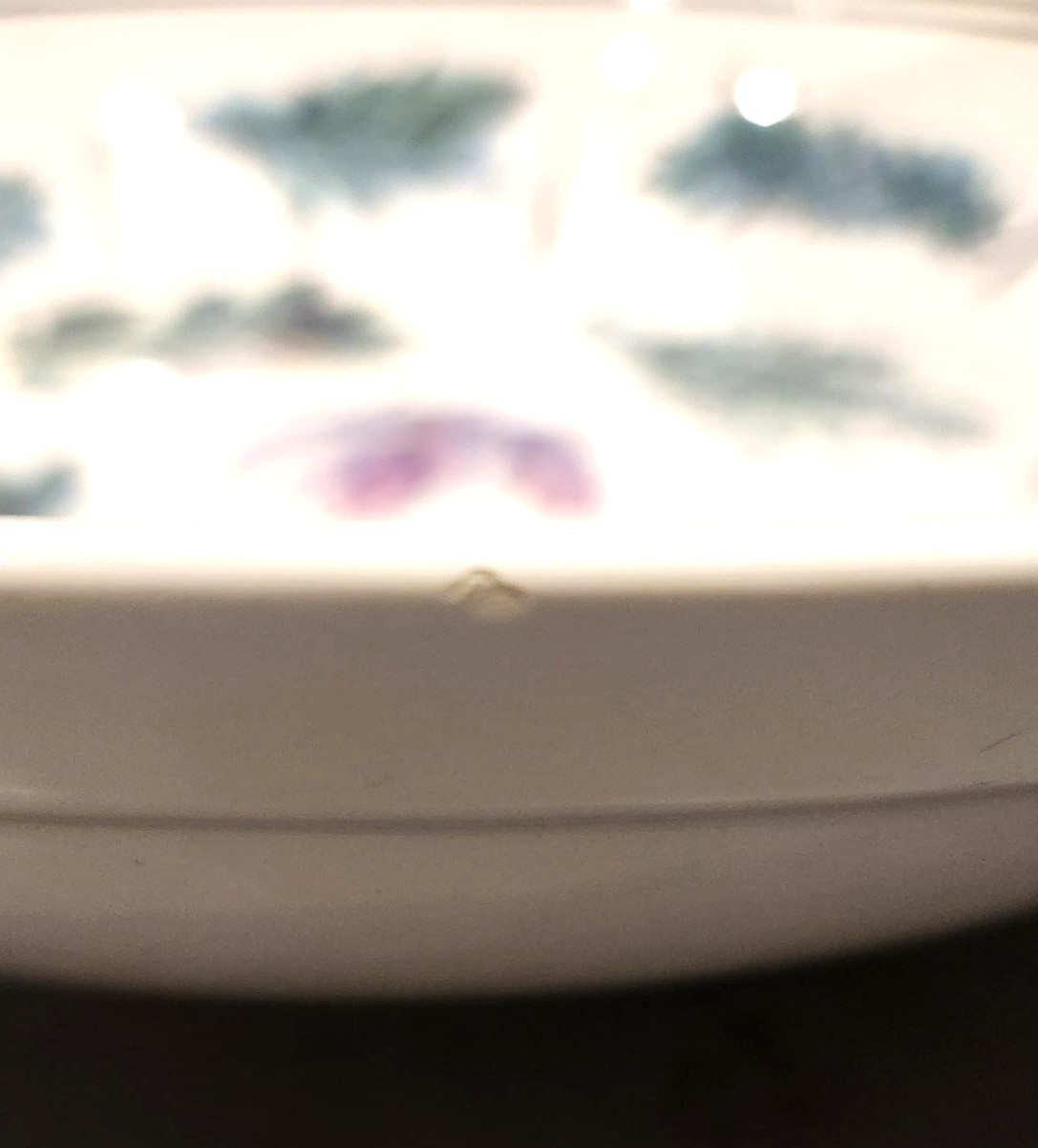 Vintage Williams-Sonoma LG Serving Bowl - Herb Motif - photo 4