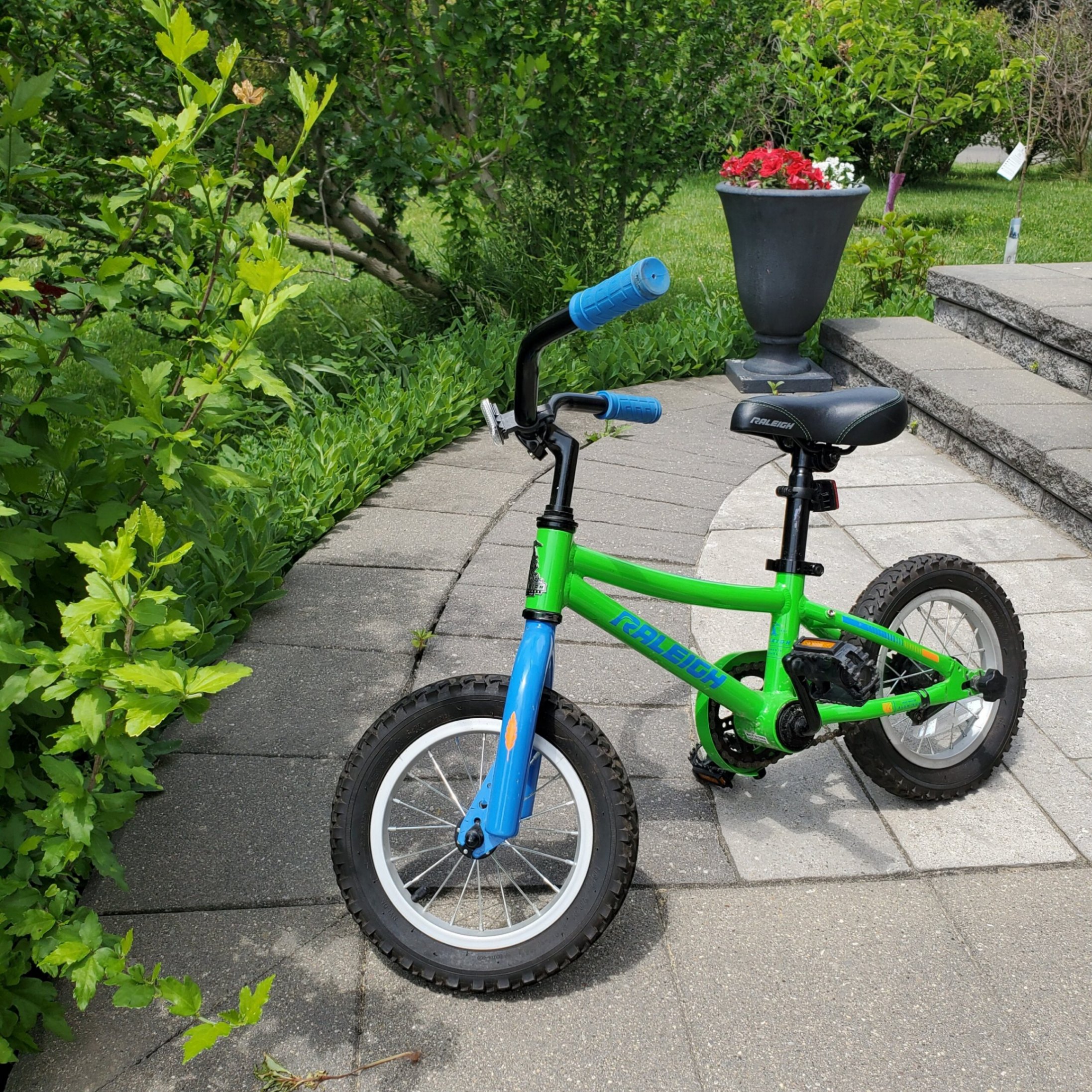 Kids’ Bike, 12-in Wheel, Green, with training wheels