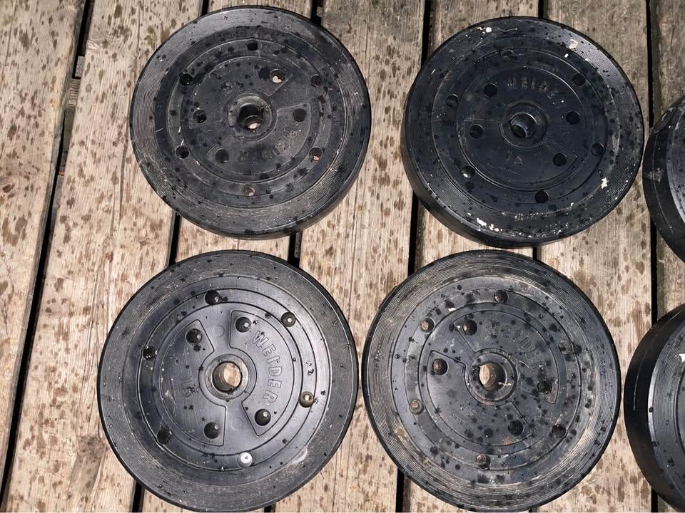 15lb Weight Plates - photo 4
