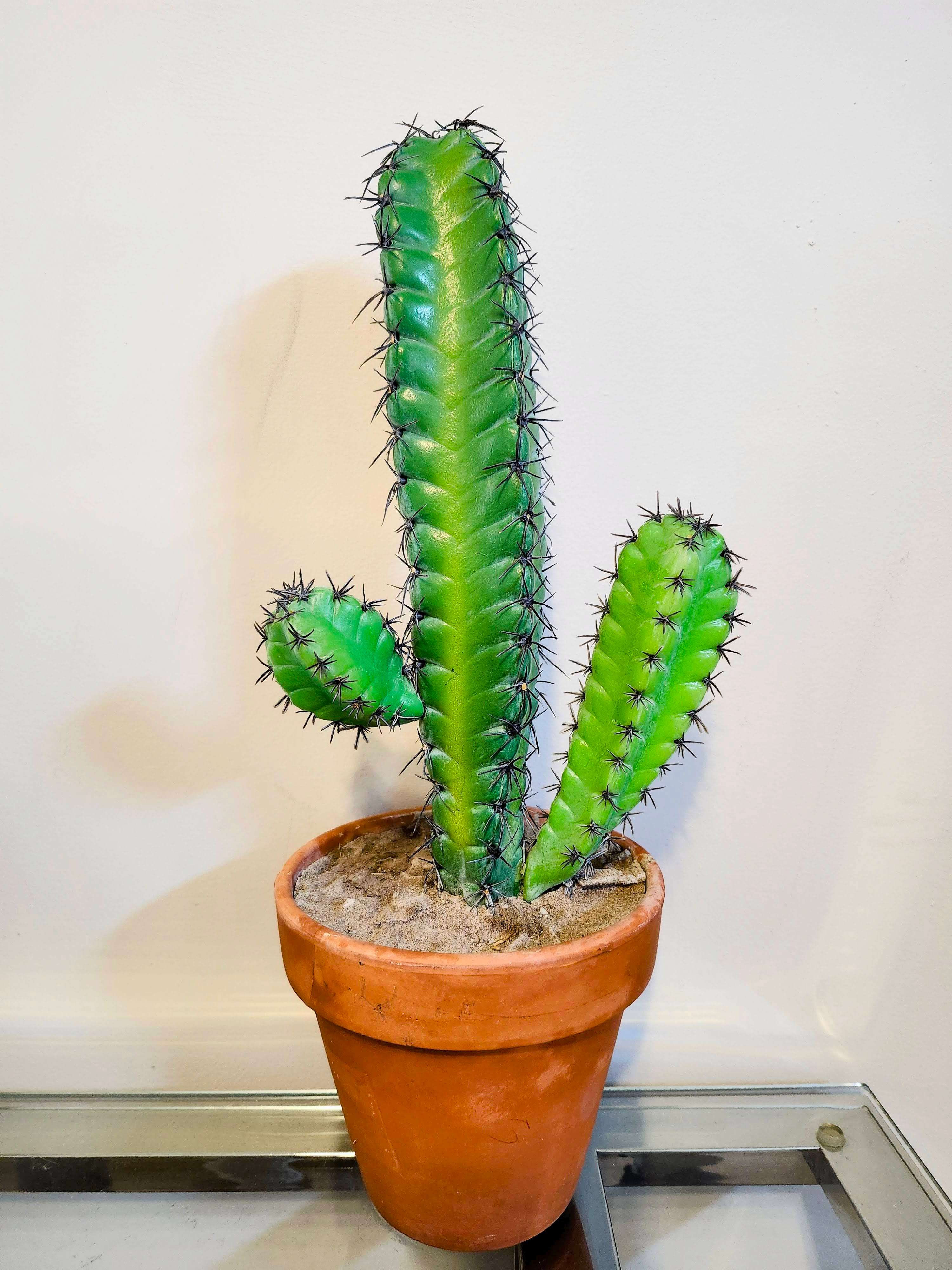 Gently Used Artificial Cactus Succulent Plant / Faux Plant - photo 3