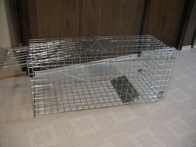 Super Extra Large Live Animal Trap, Brand New