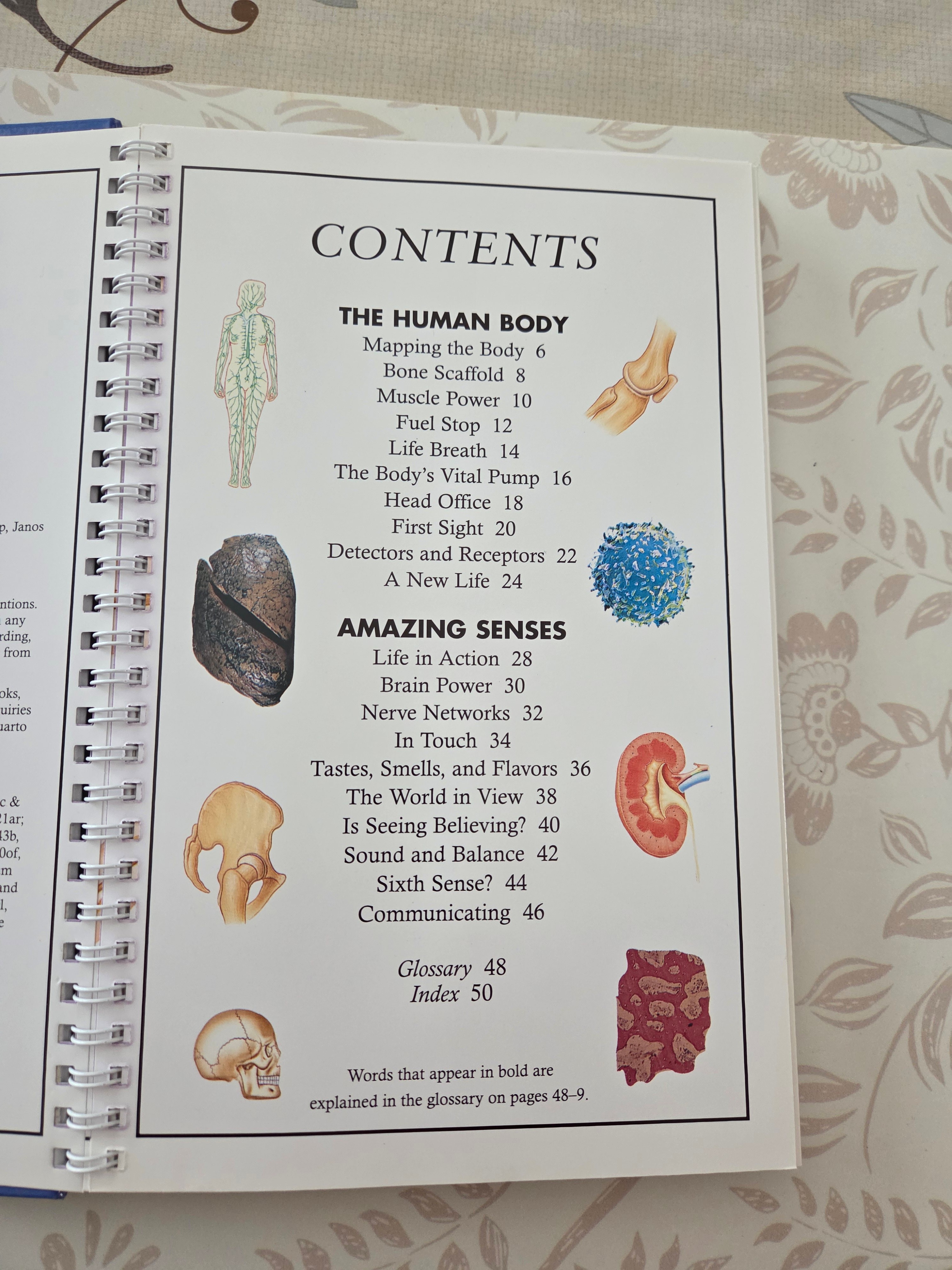 Book - Discovery Plus Bodyworks - photo 2