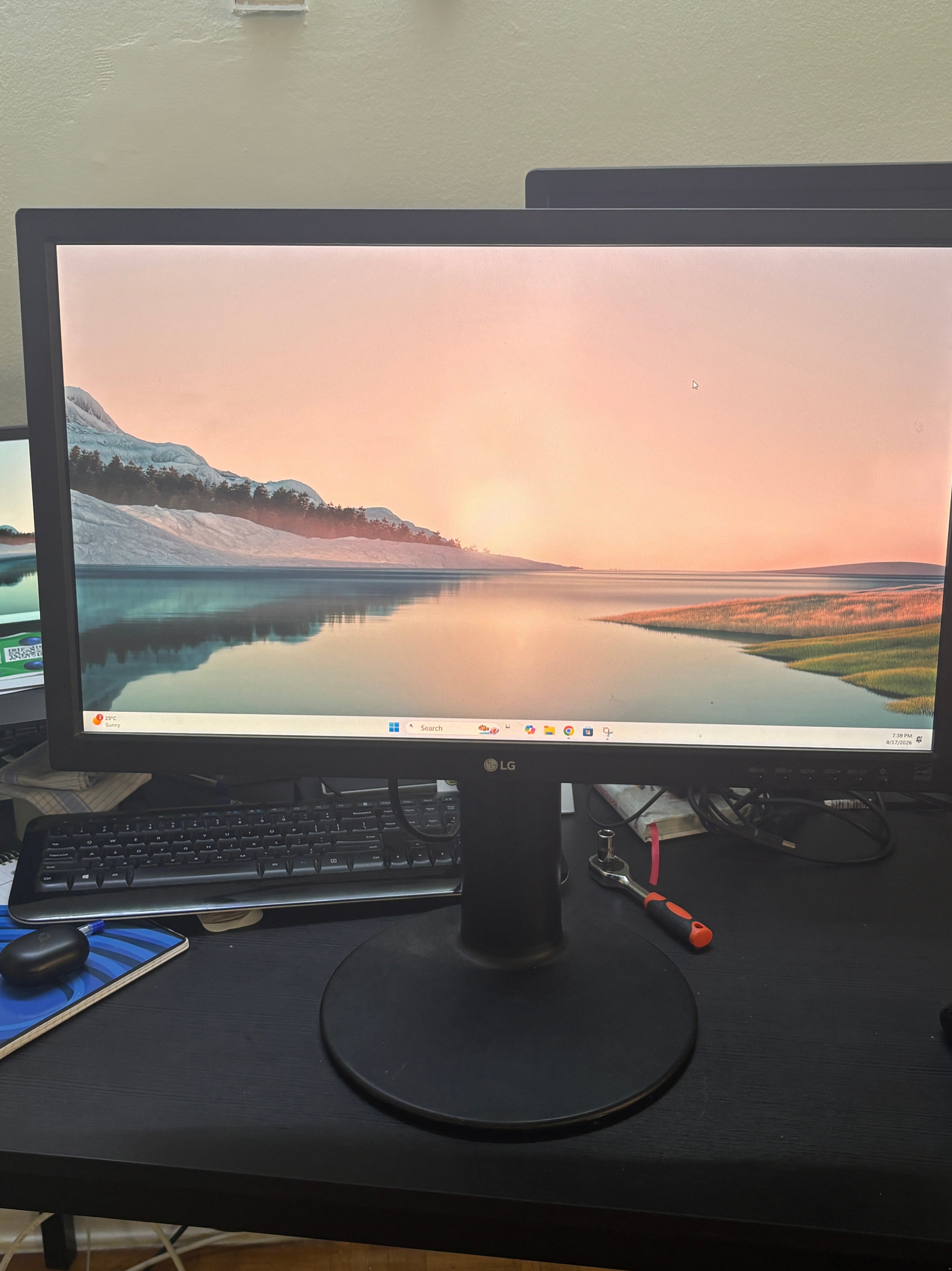 LG 24MB35PY-B 24" Professional Monitor for Sale