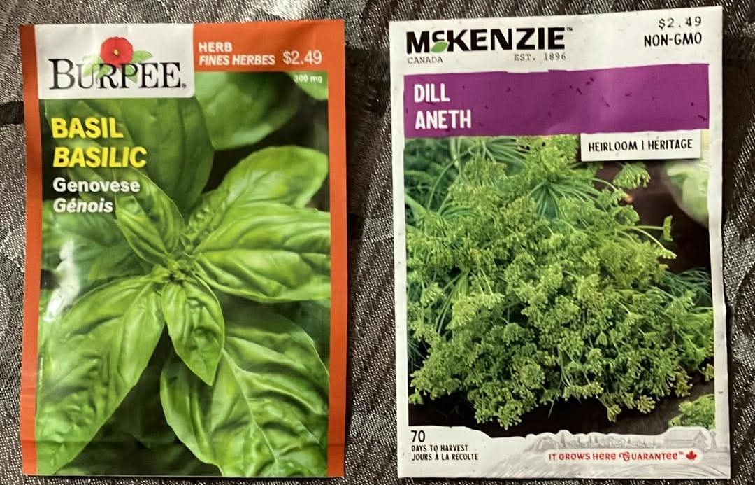 Herb Seeds Basil Dill