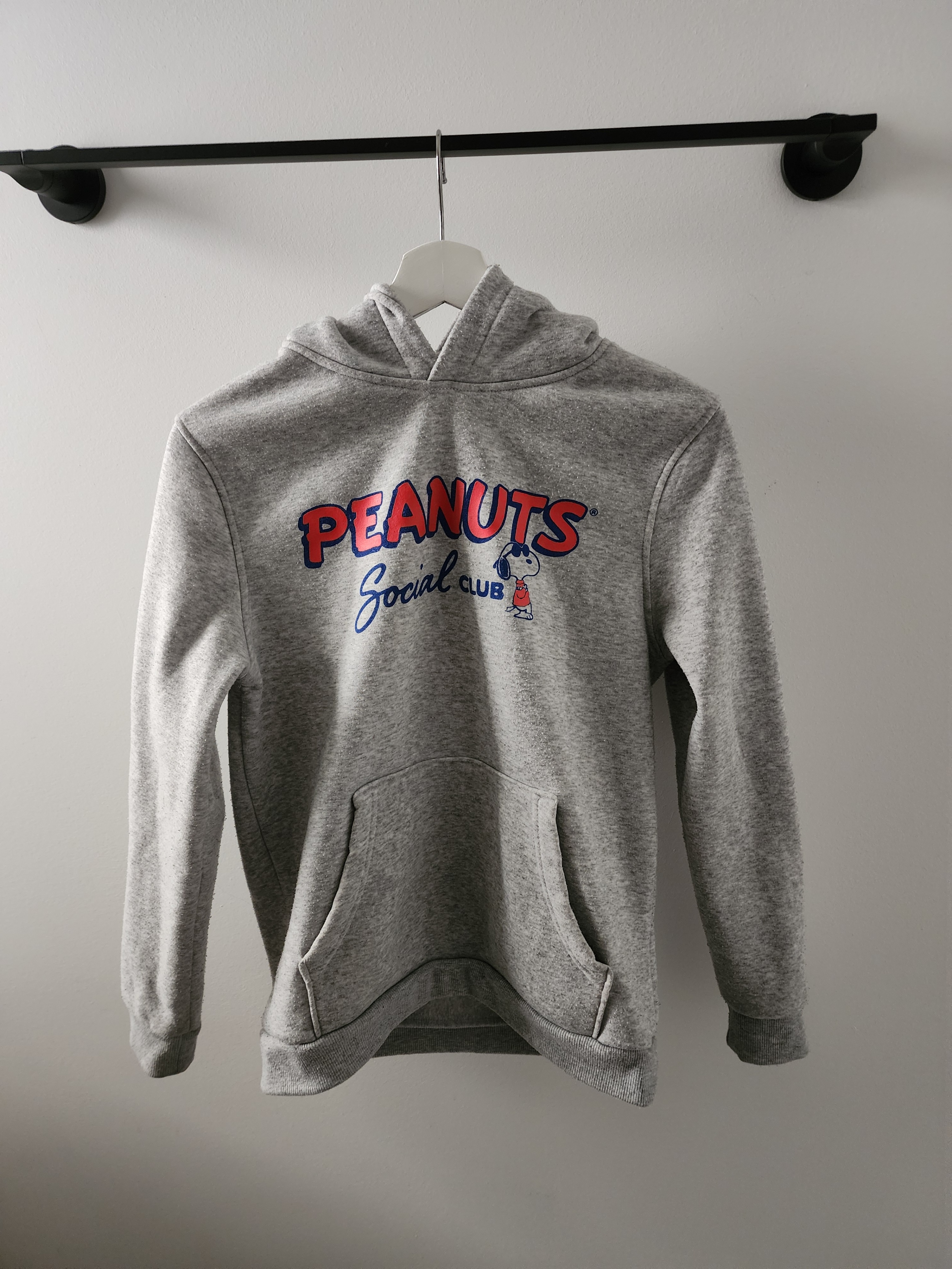Teen age 14+ Large hoodie can fit small adult unisex